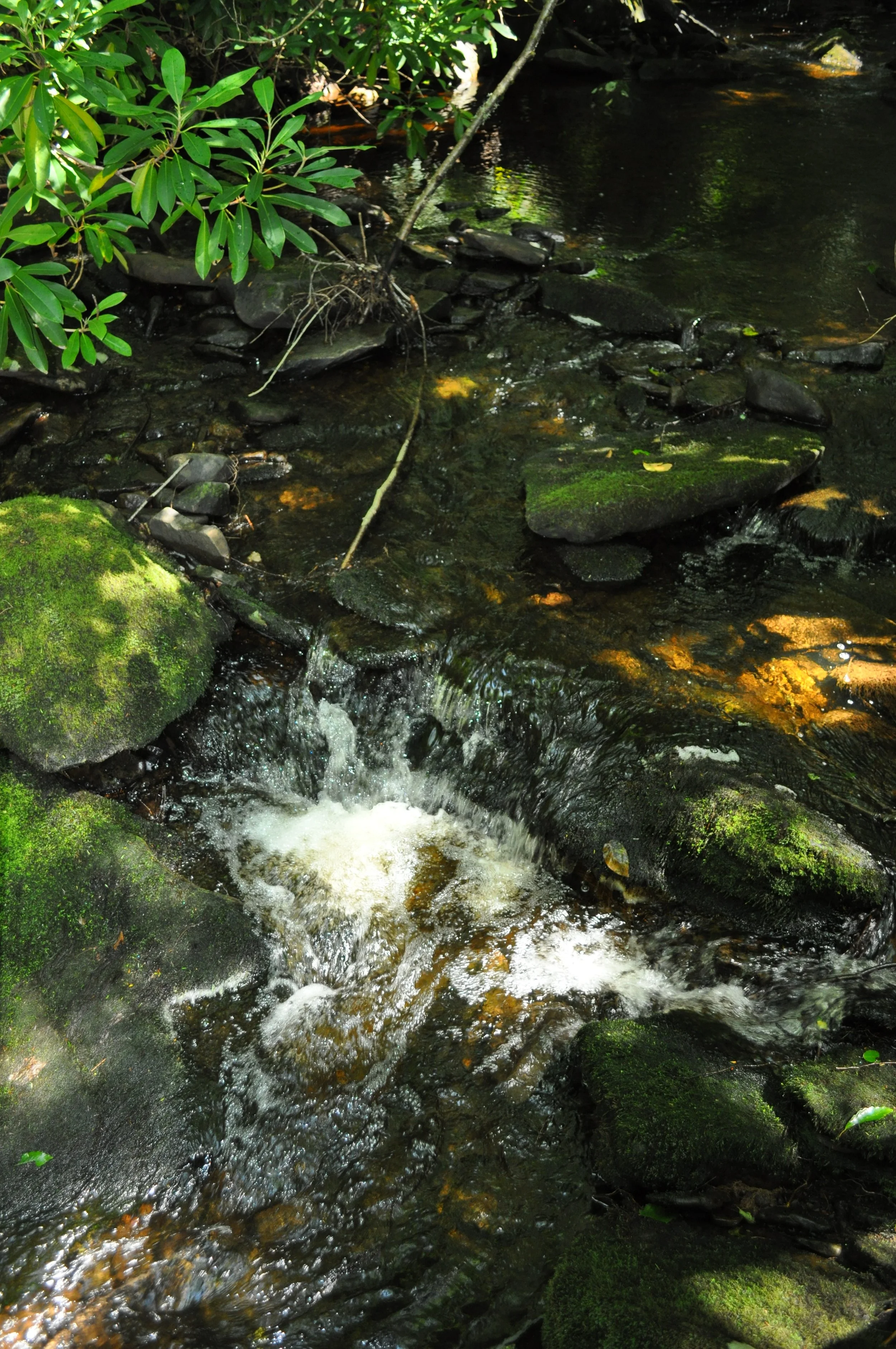 0813 Catskills River 2.jpg