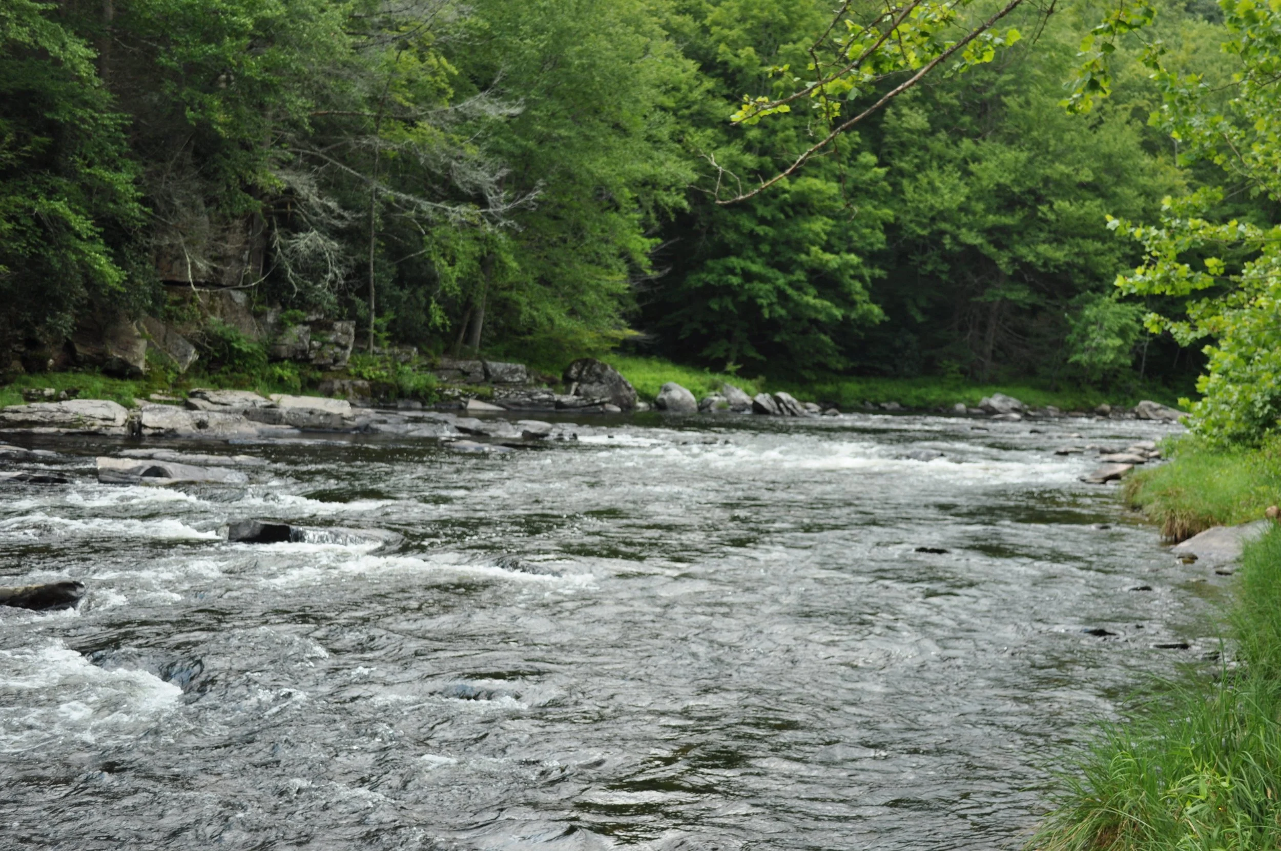 0813 Catskills River.jpg