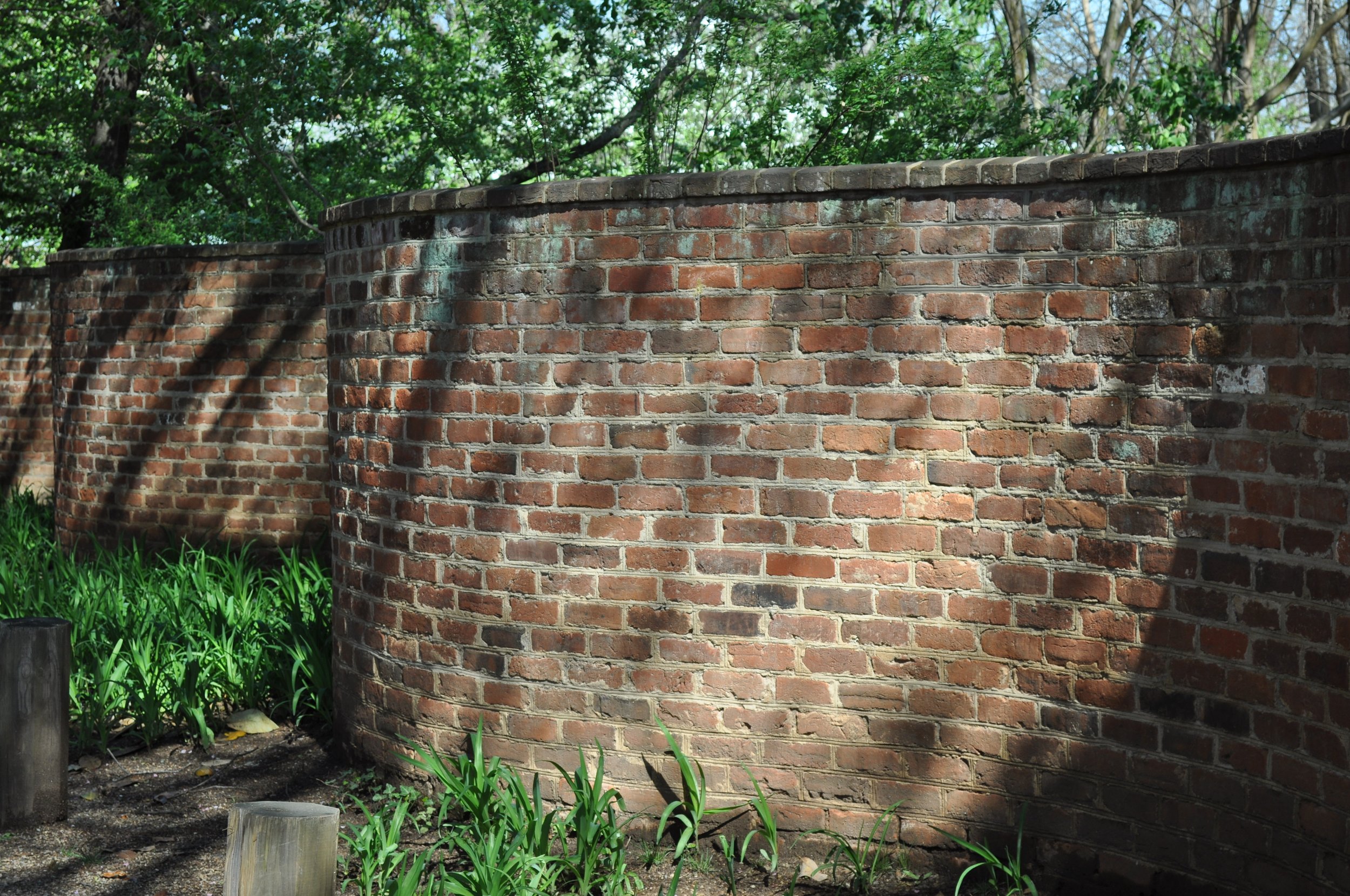 0414 Ava UVA Spring Orientation Curved Wall.jpg