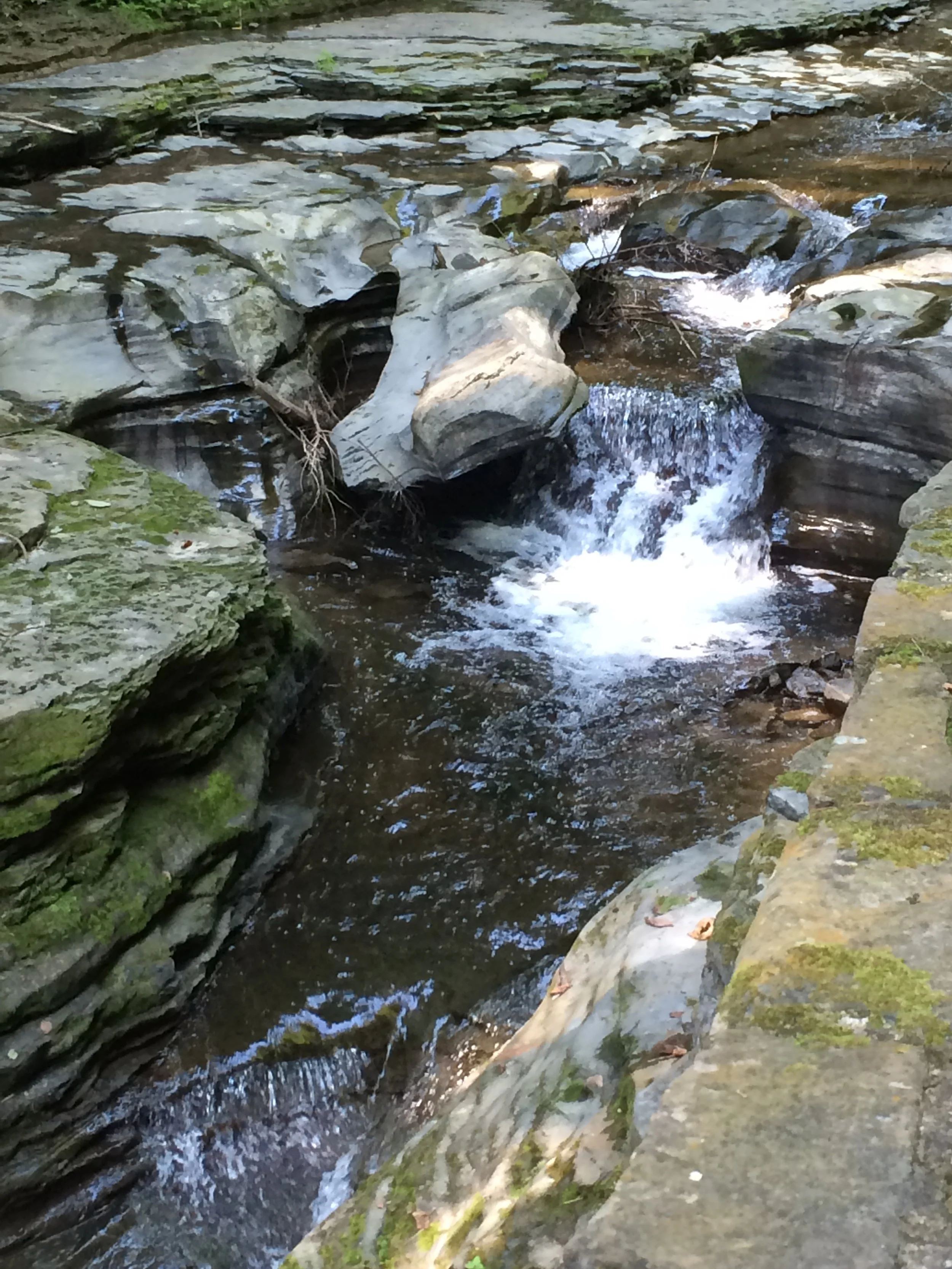 0814 Finger Lakes Waterfall 1.jpg