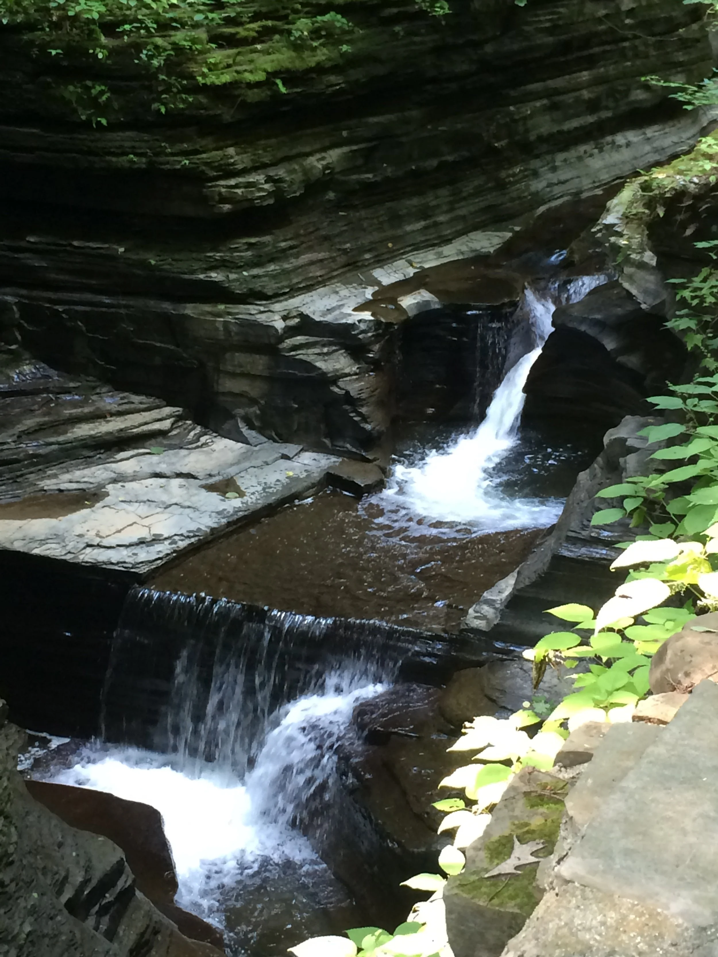 0814 Finger Lakes Waterfall 2.jpg