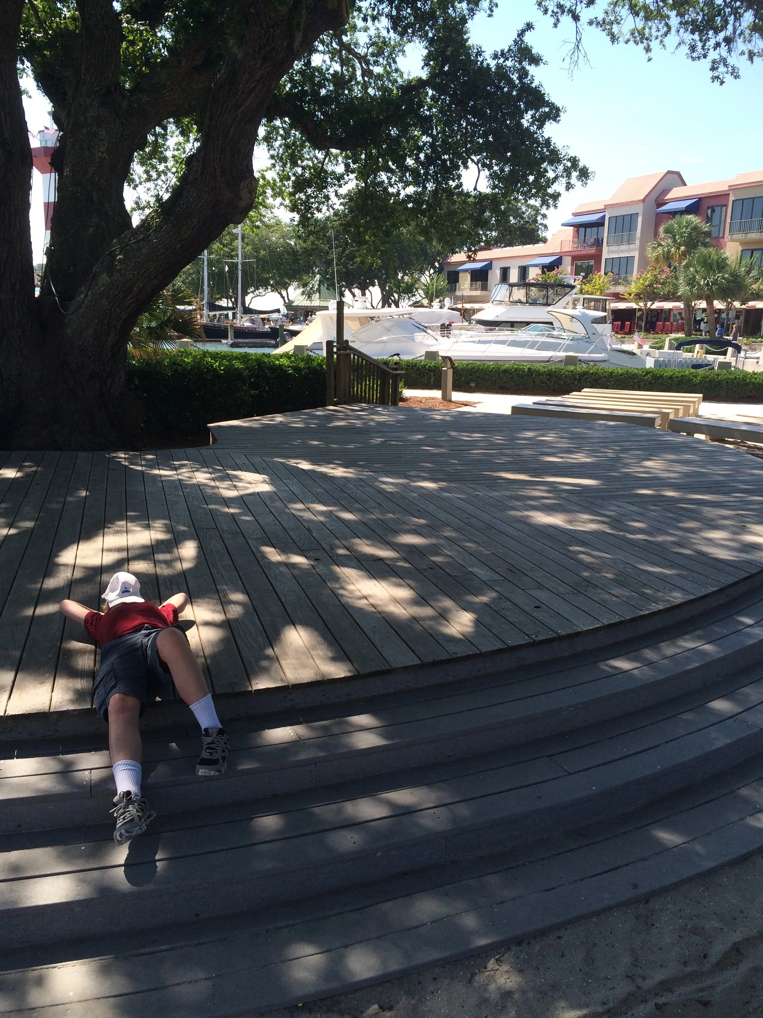 0714 08 HHI Nate Oak Tree.jpg