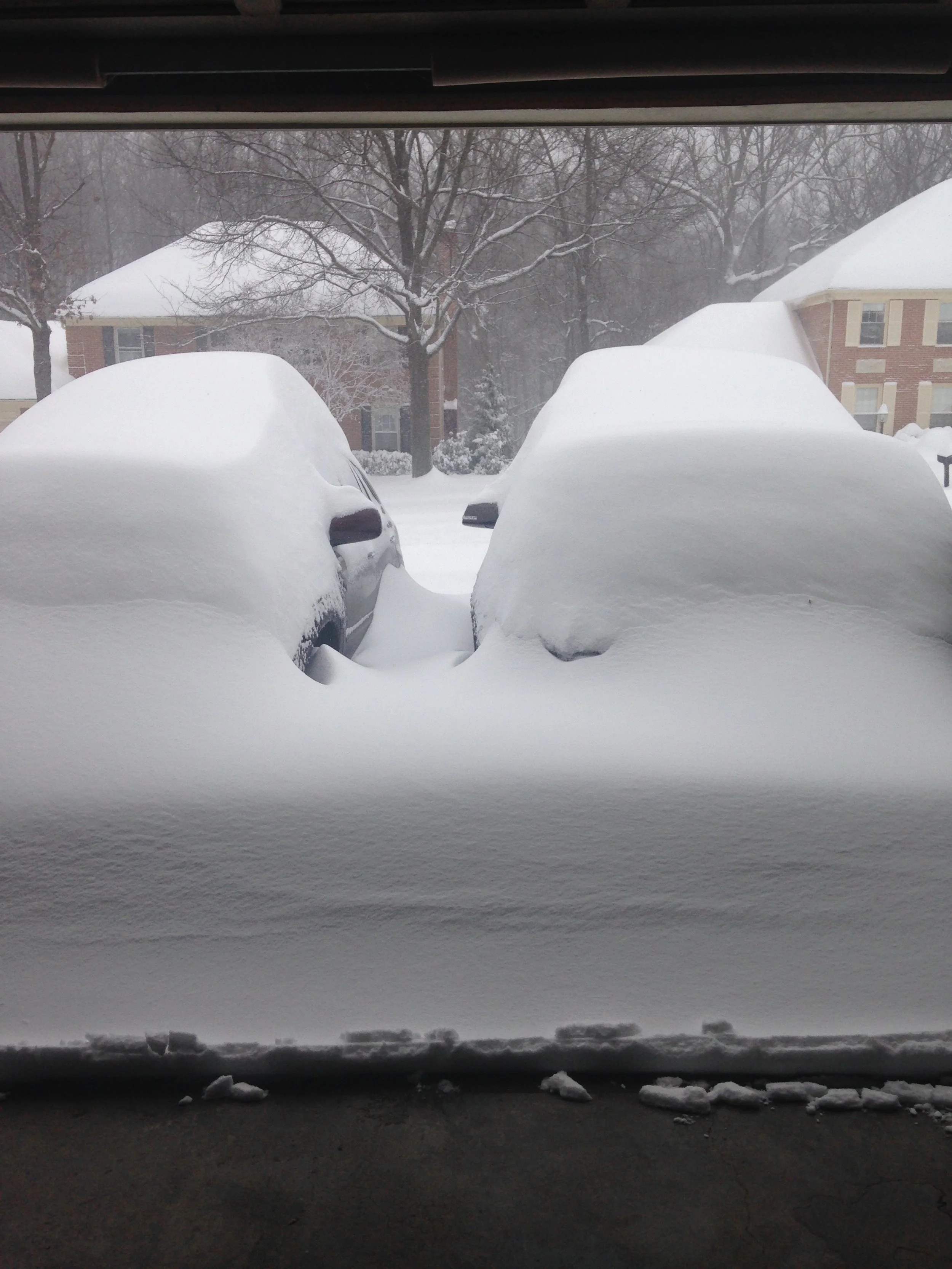 0116 Snowstorm Cars.jpg