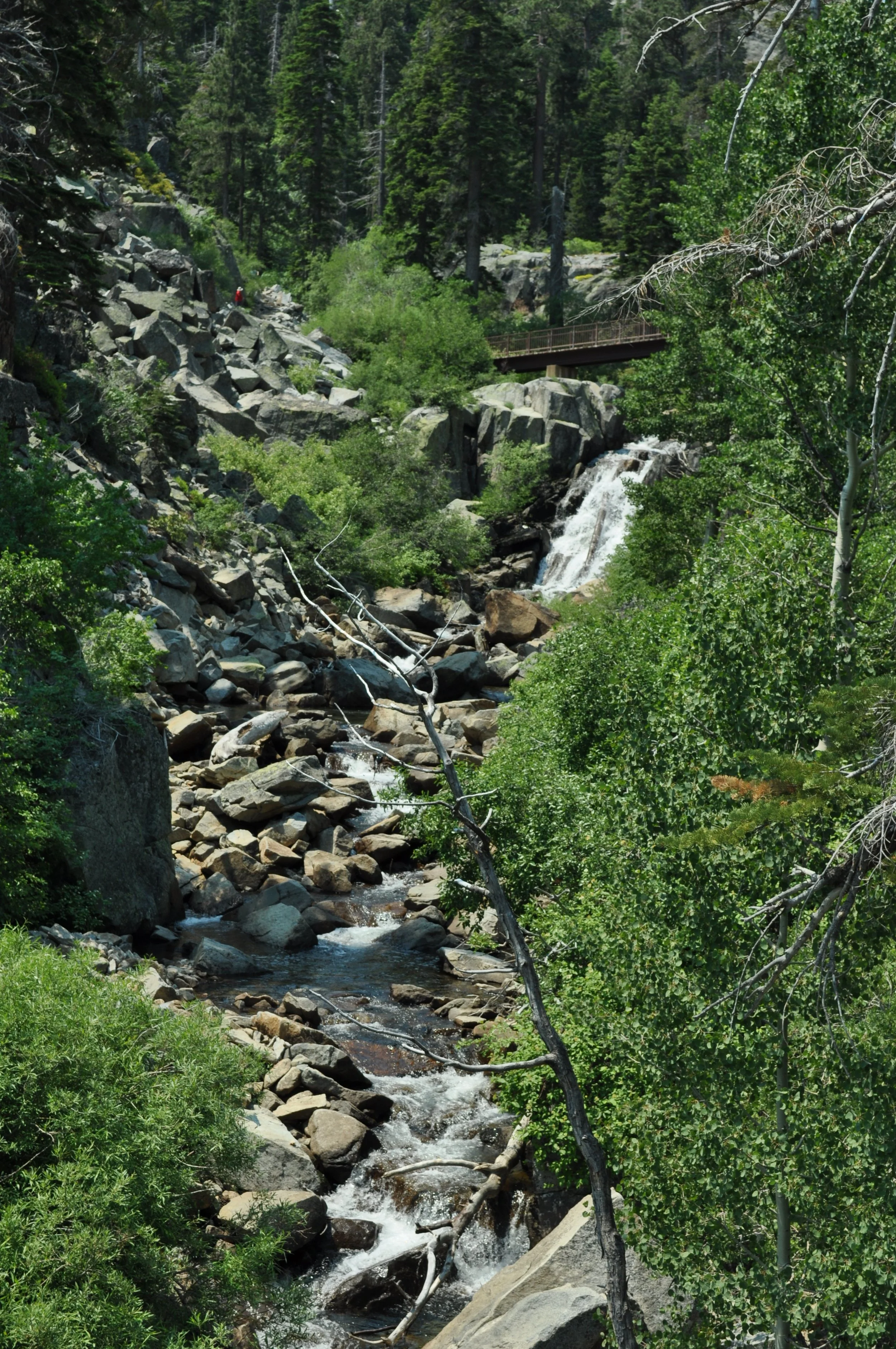 0615 25 Hike Waterfall 3.jpg