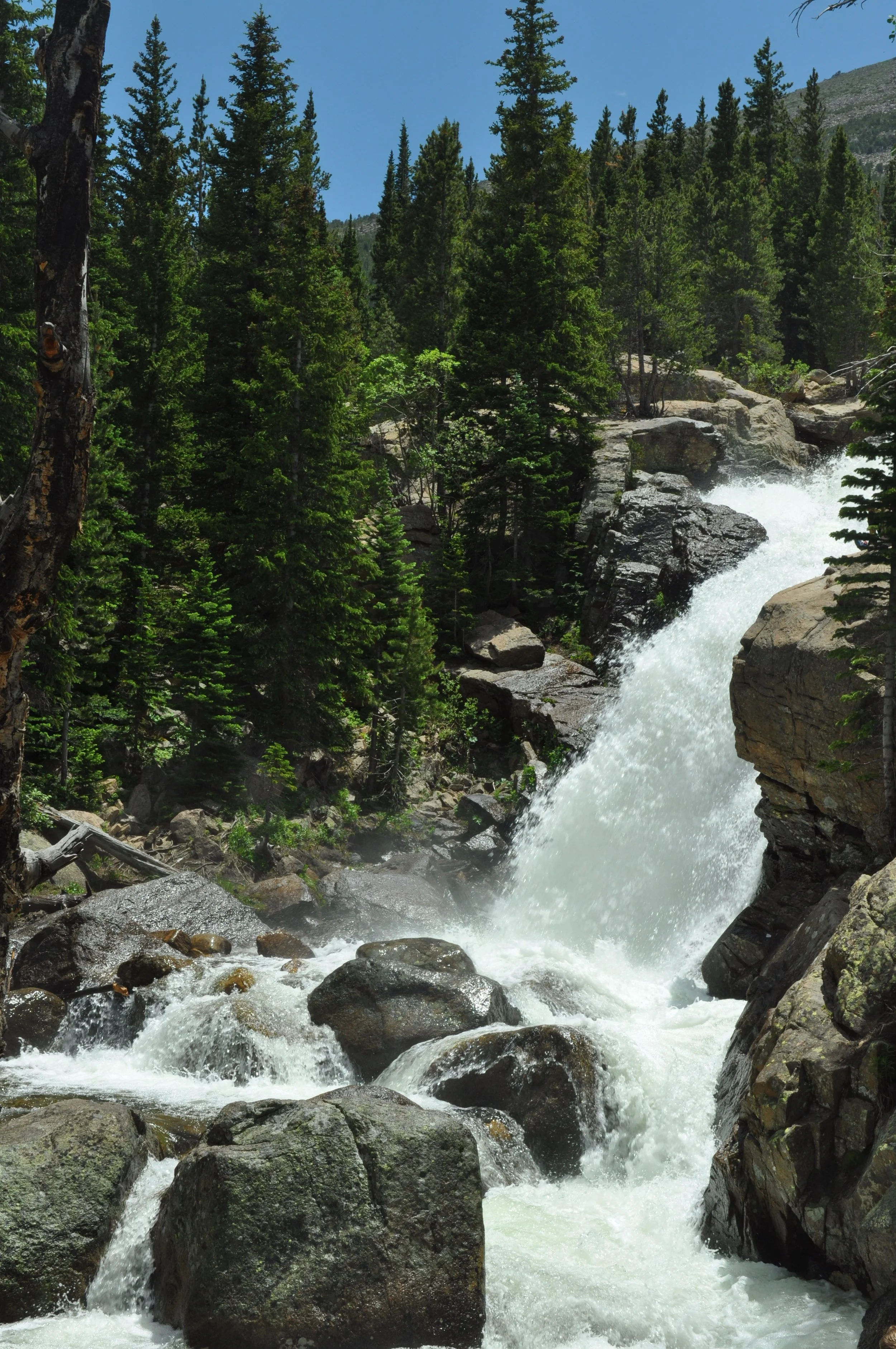 0616 02 Alberta Falls 2.jpg