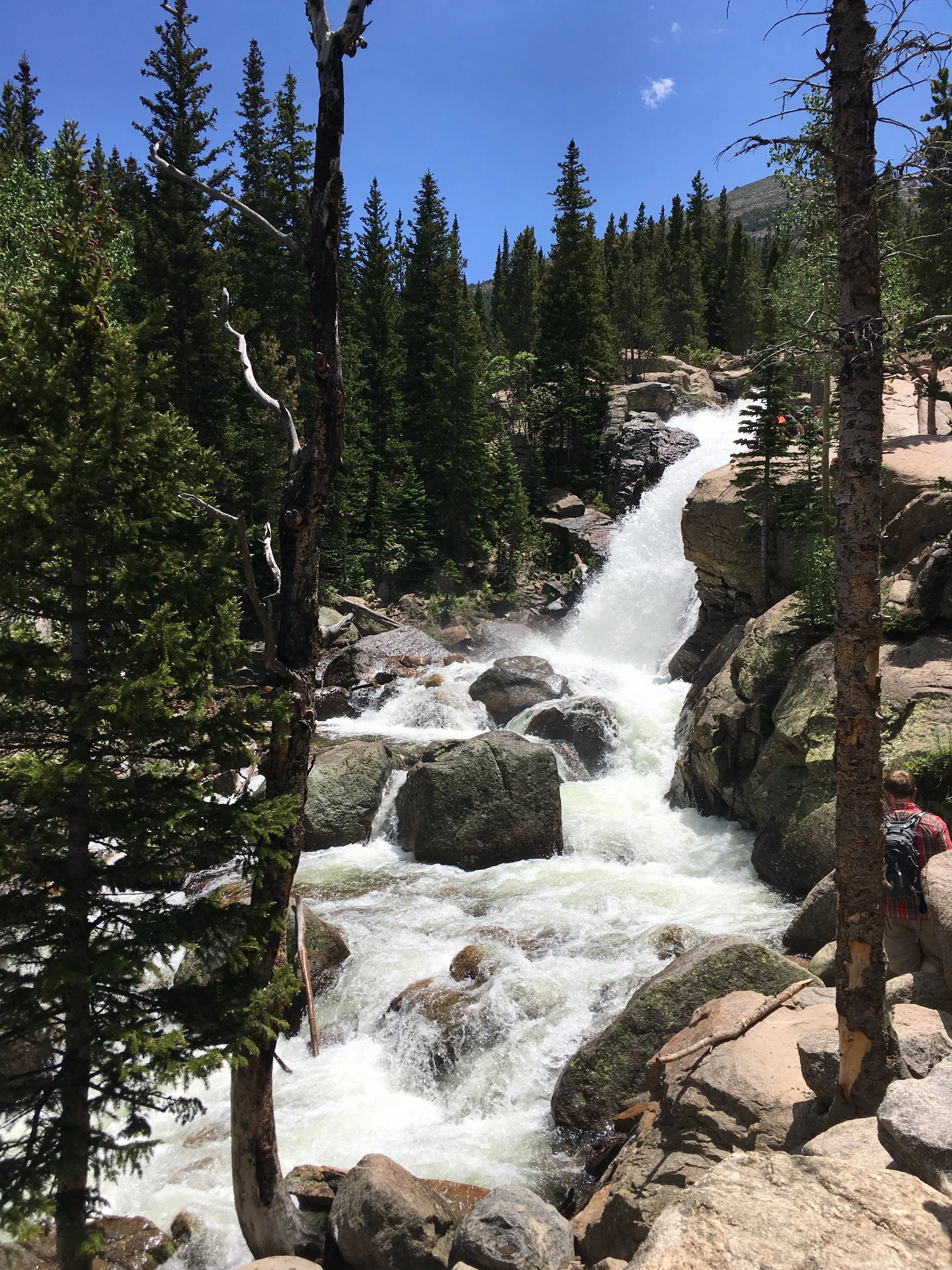 0616 02 Alberta Falls 1.jpg