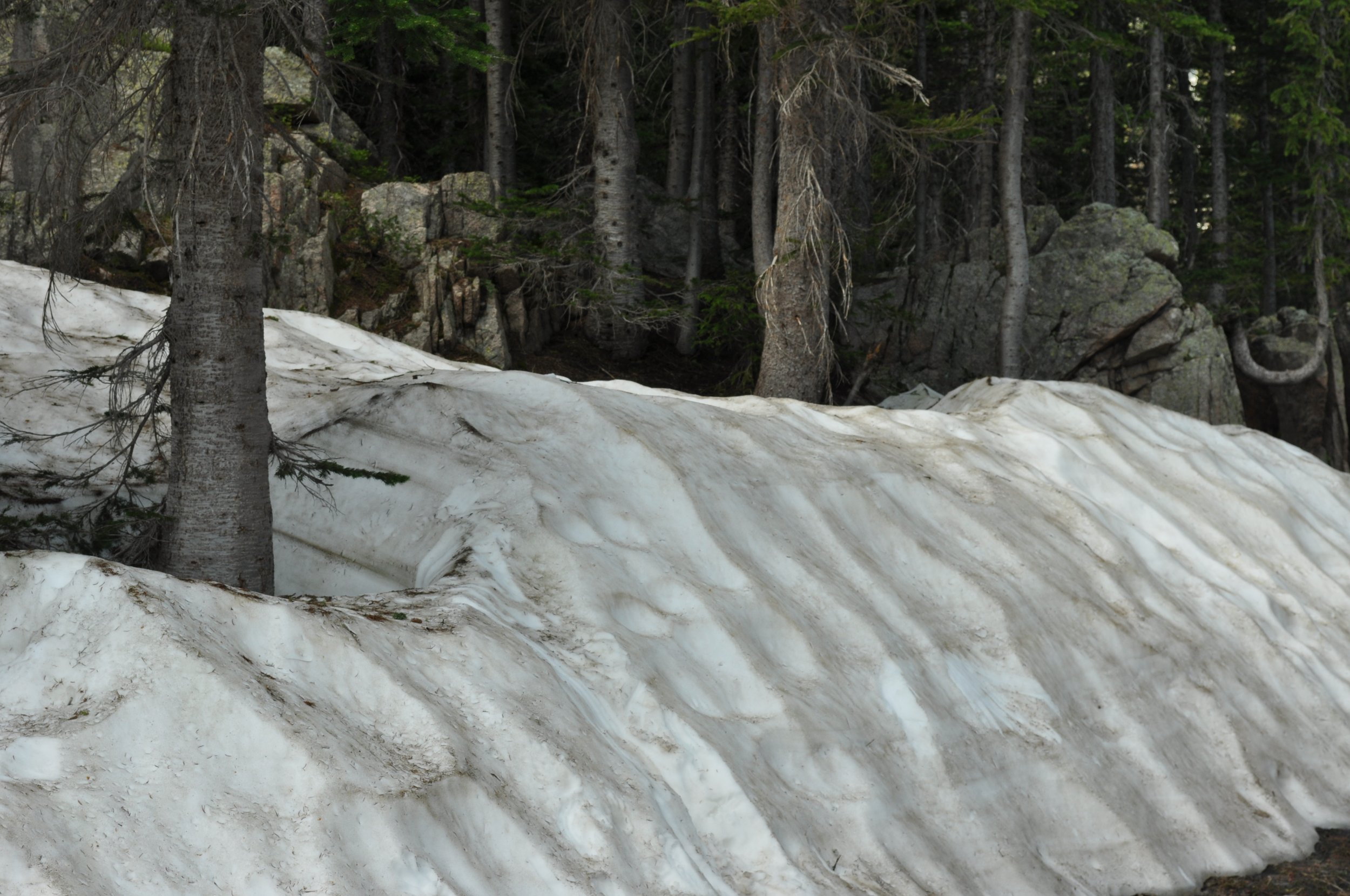 0616 02 Bear Lake Loop Snow.jpg