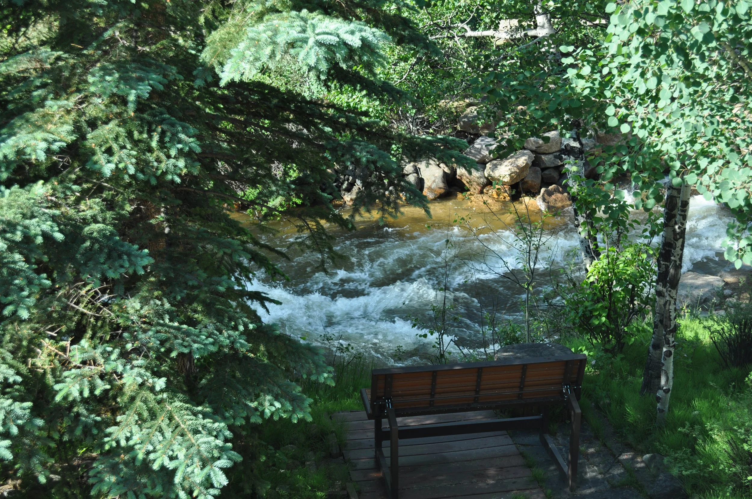 0616 02 Boulder Brook.jpg