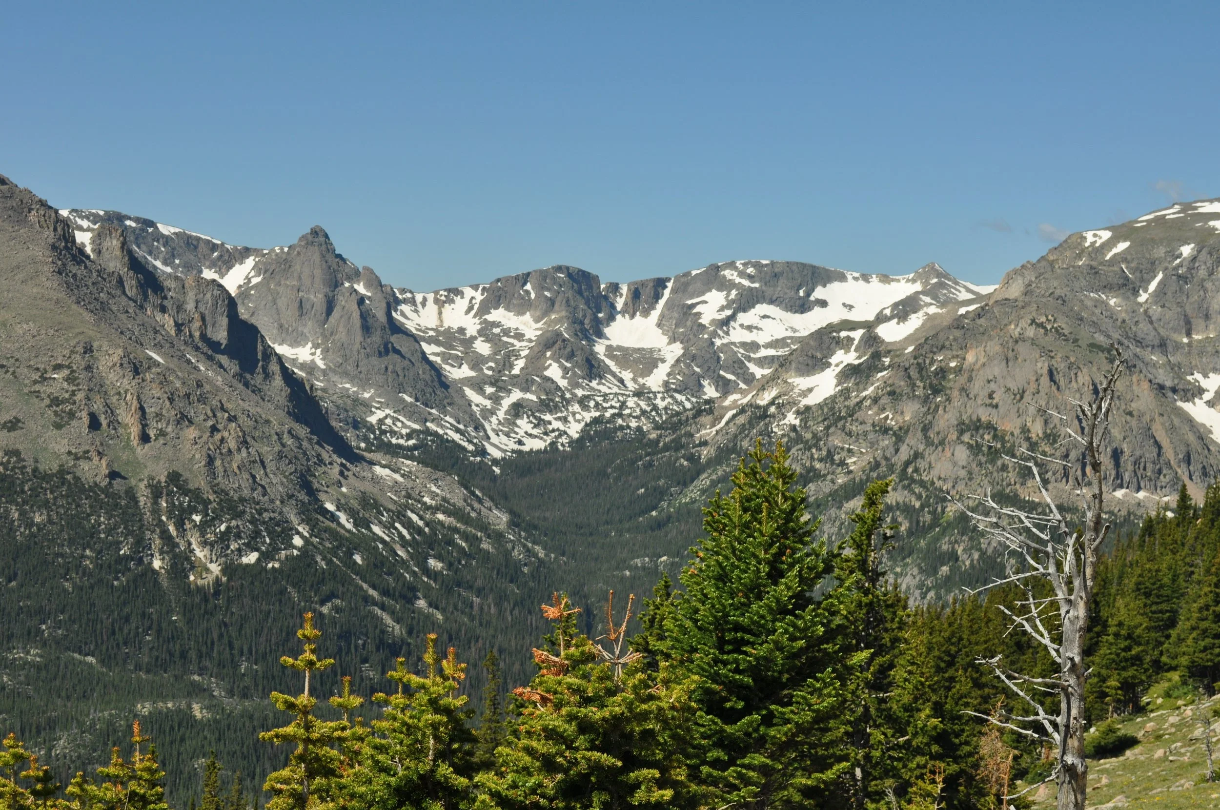 0616 03 RMNP 2.jpg