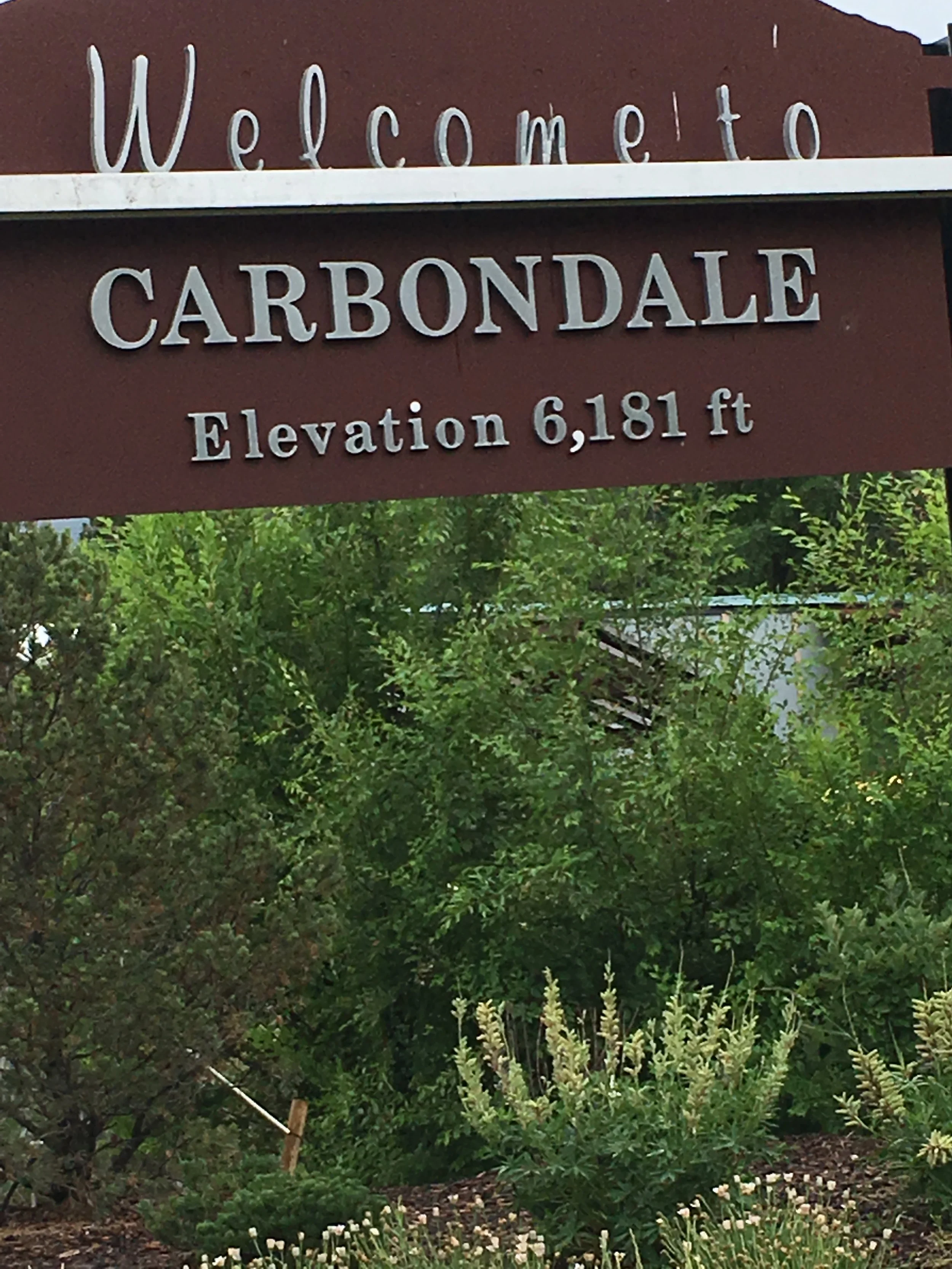 0616 04 Carbondale Sign.jpg