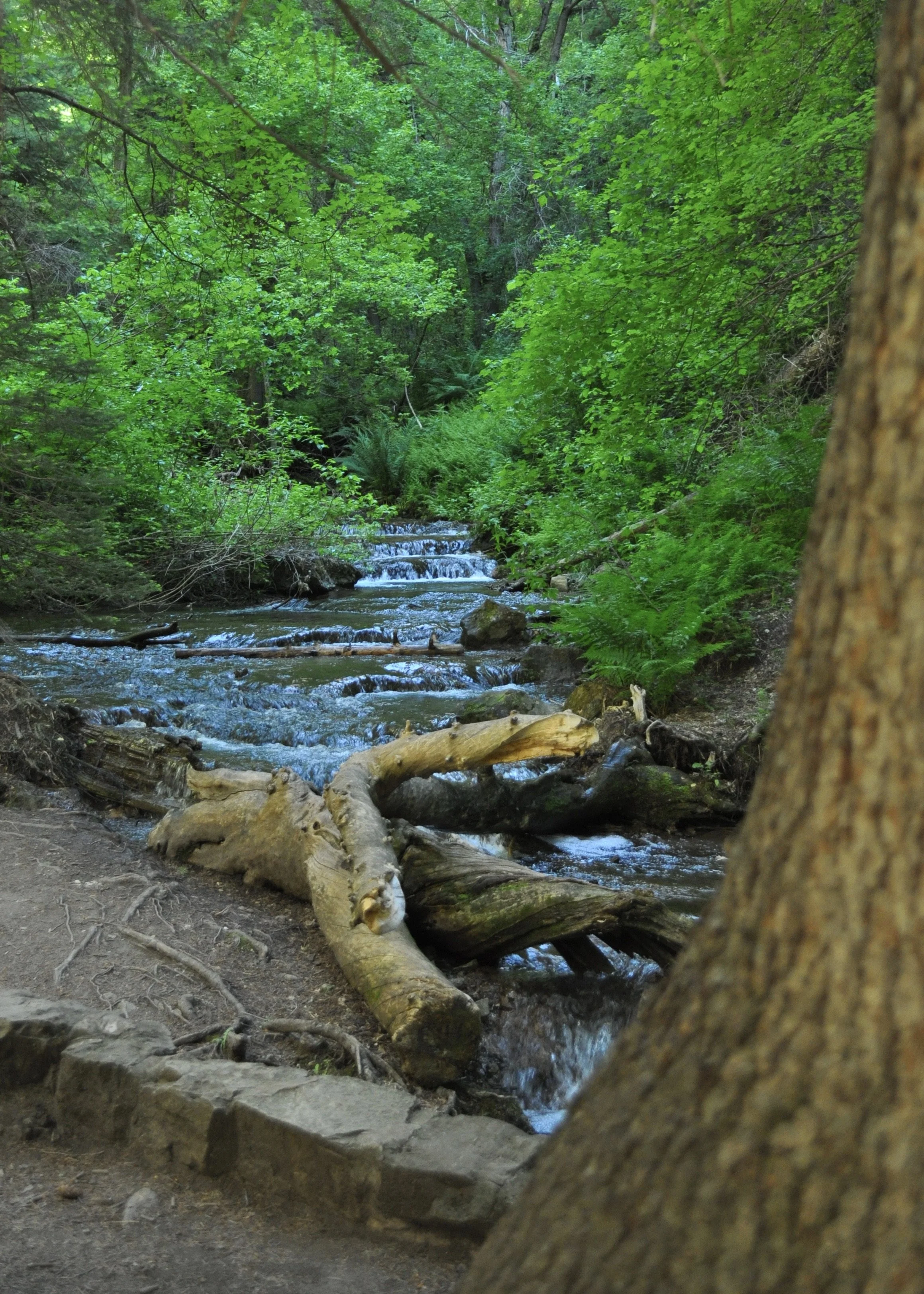 0616 04 Hanging Lake 5.jpg