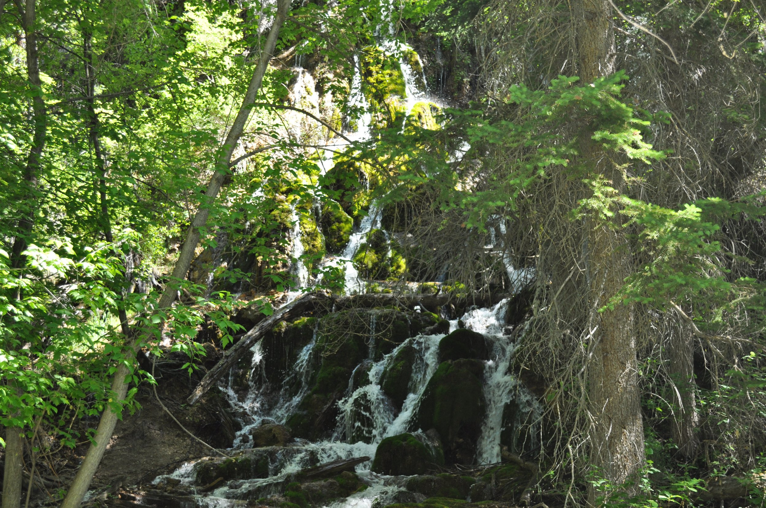 0616 04 Hanging Lake 6.jpg