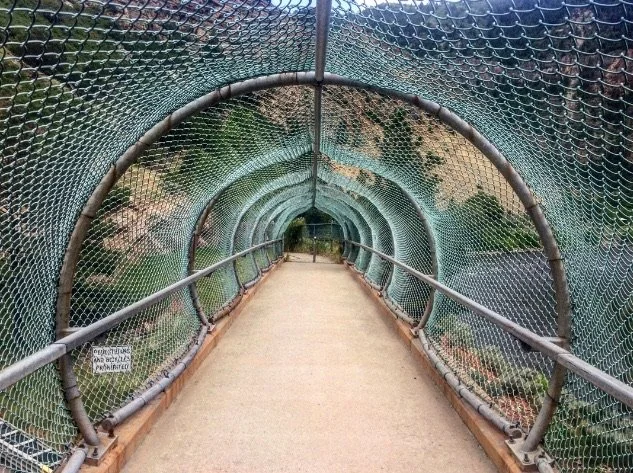 0616 06 Biking Highway.jpg