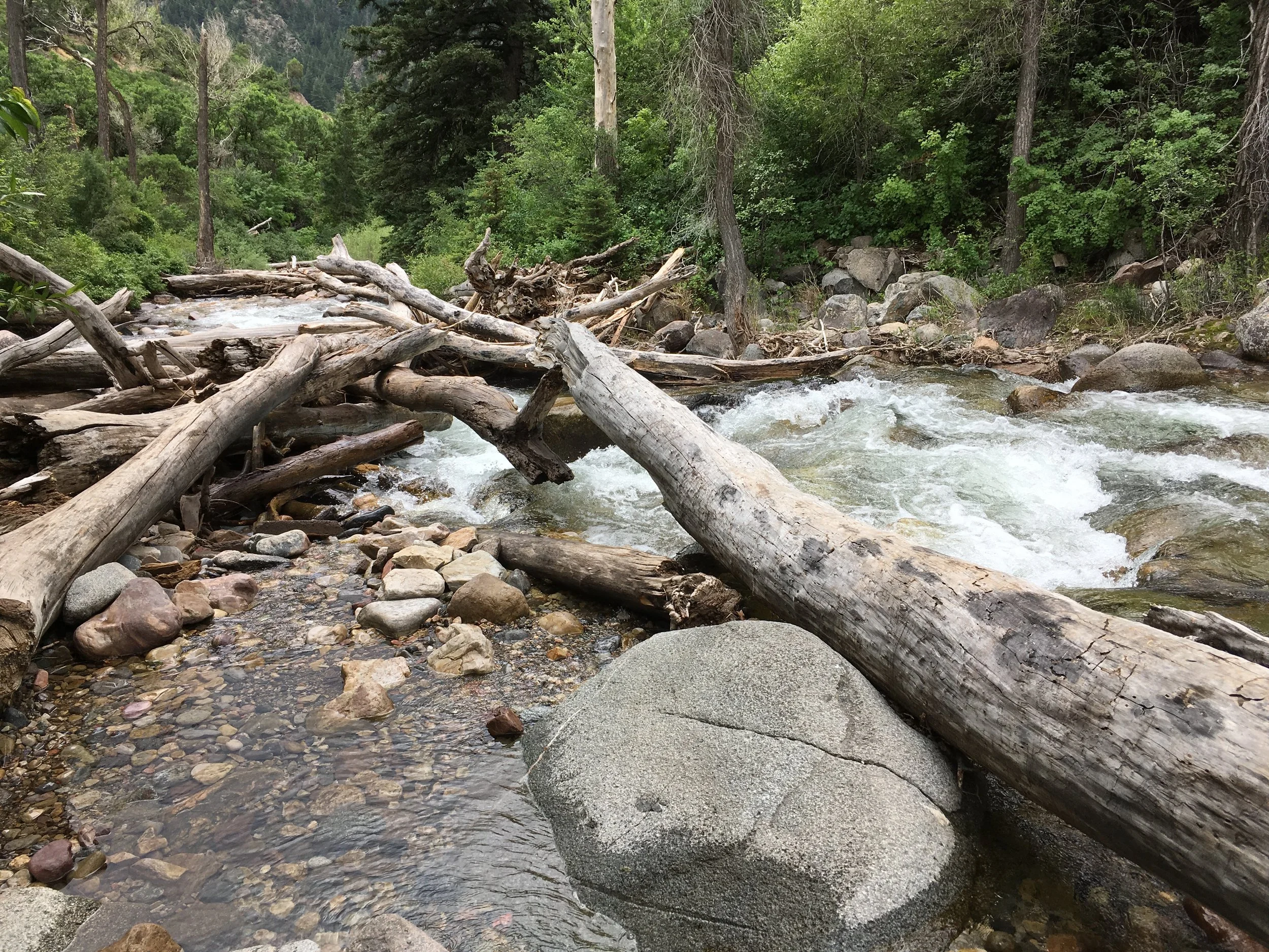 0616 09 Grizzly Creek 1.jpg