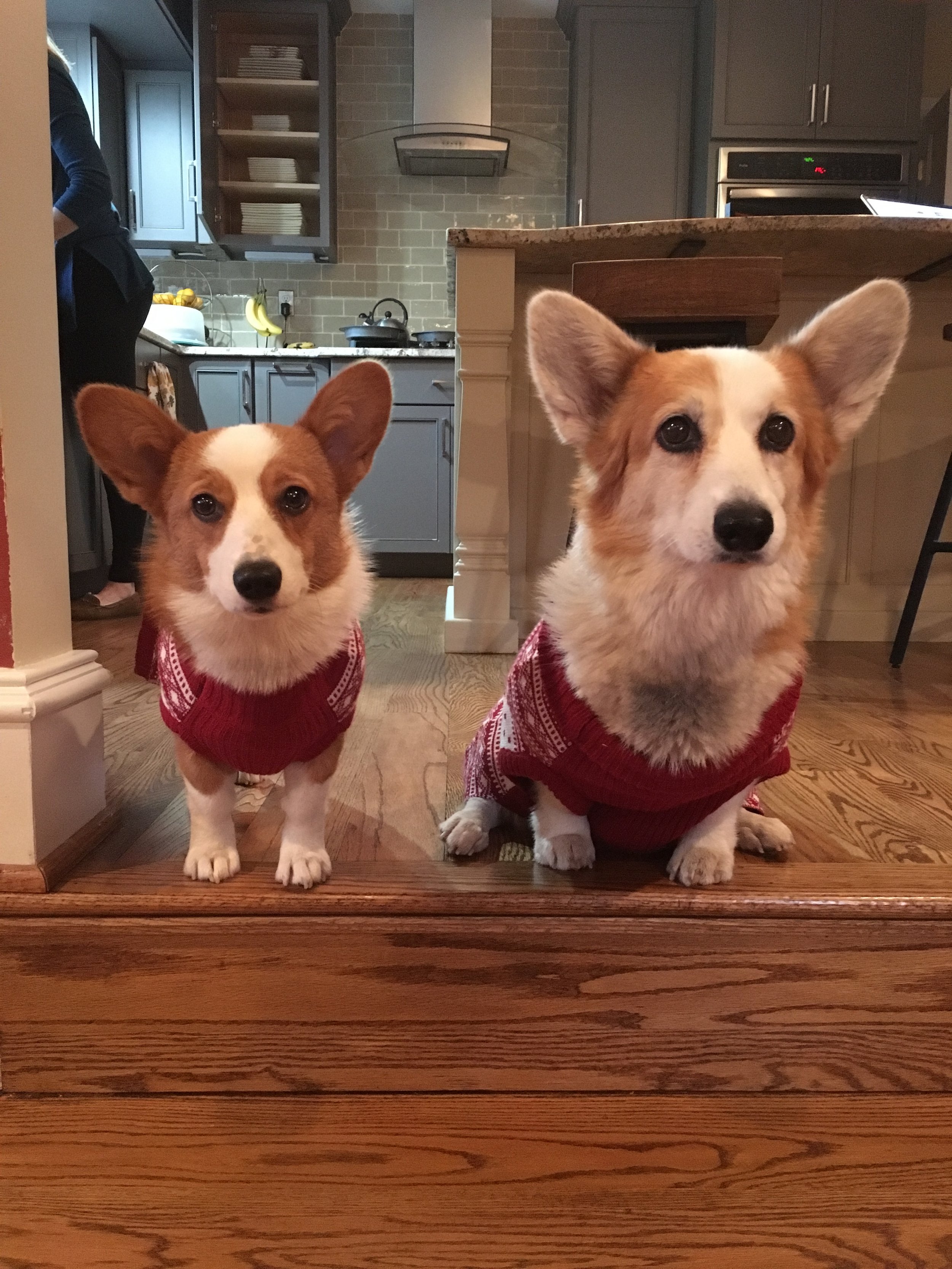 0619 Lizzie Lucie 3.jpg