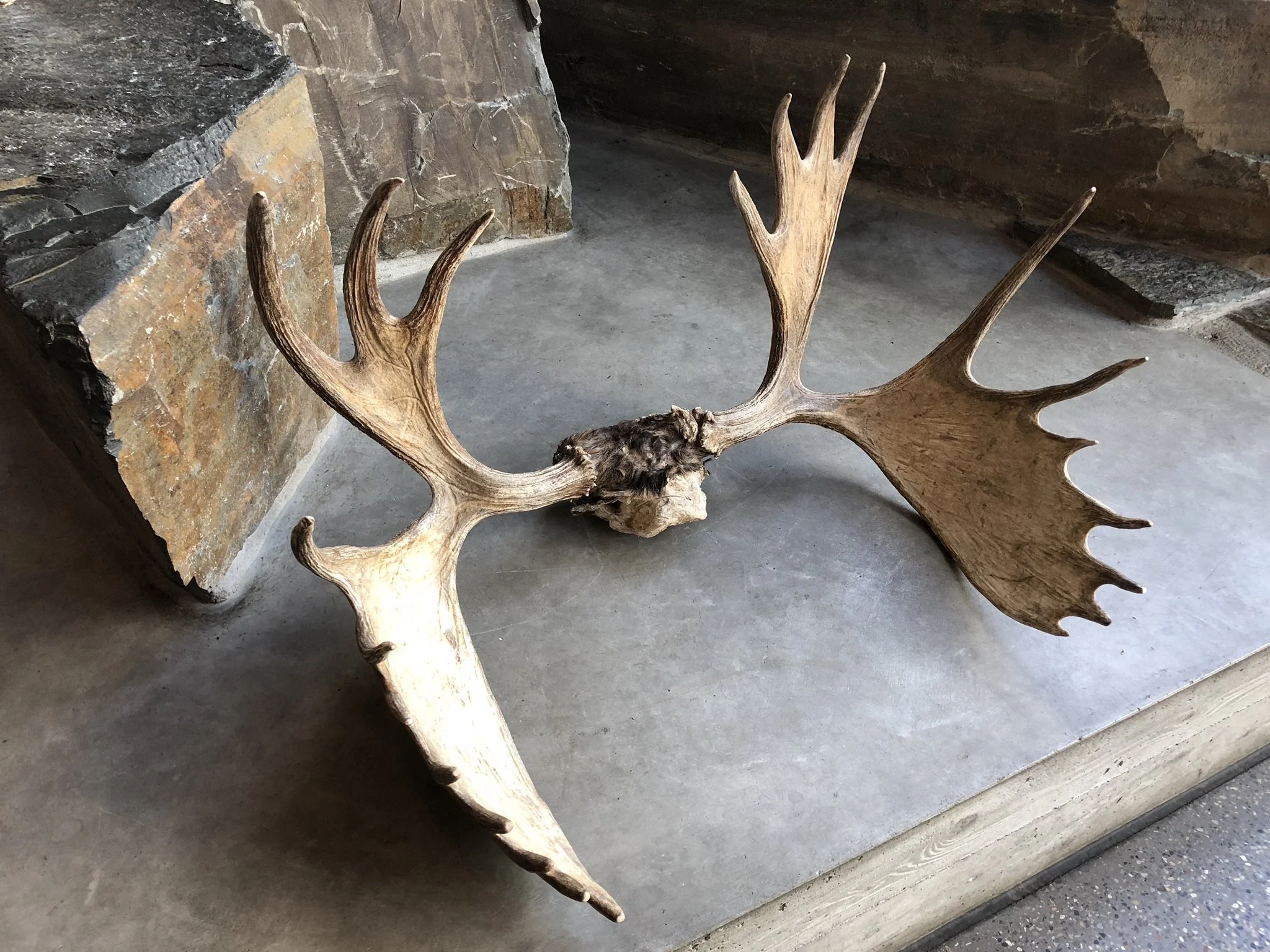 062318 WY Teton Visitor Center Elk Horns.jpg