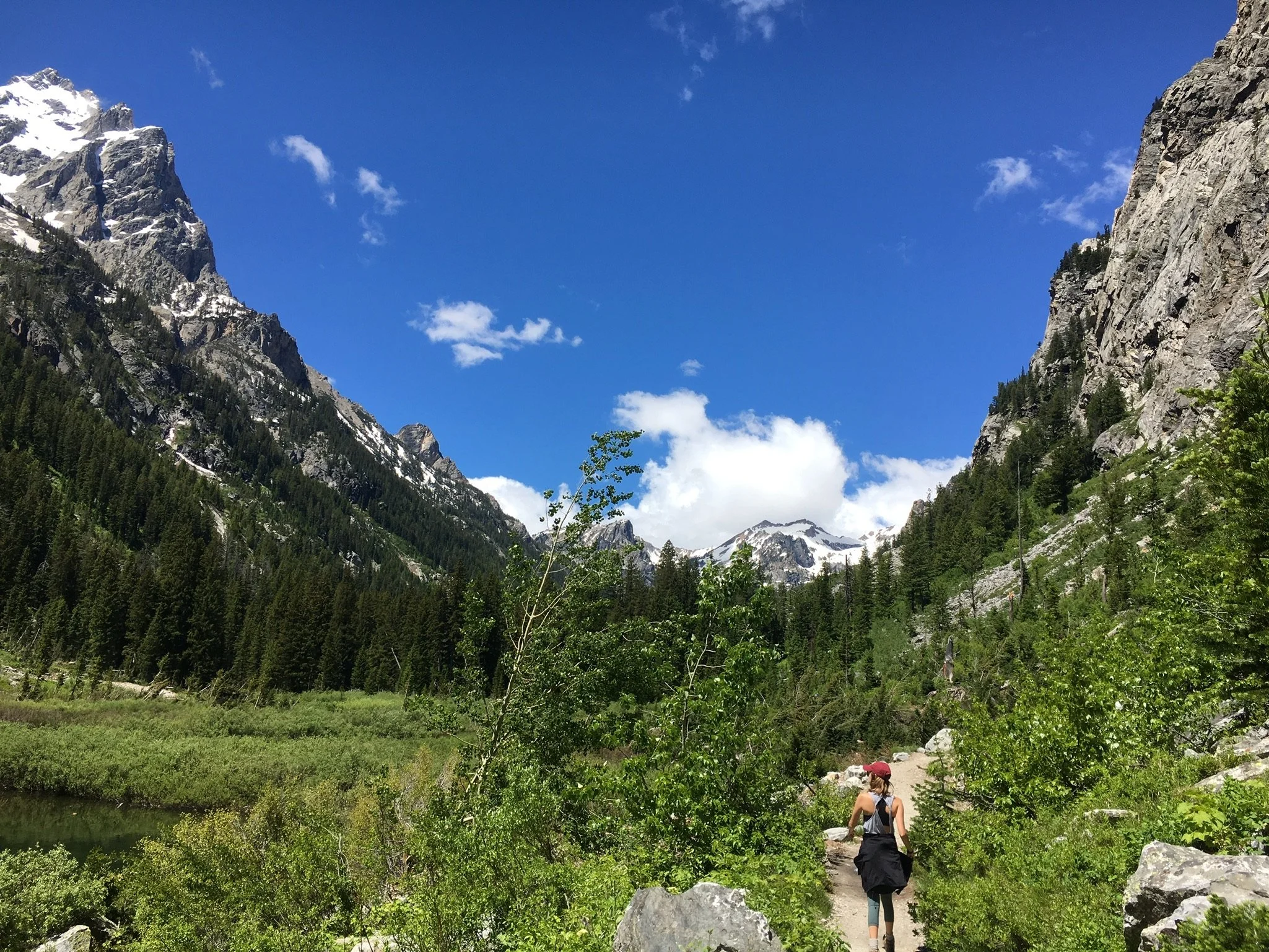 062418 WY Cascade Canyon Grace.jpg