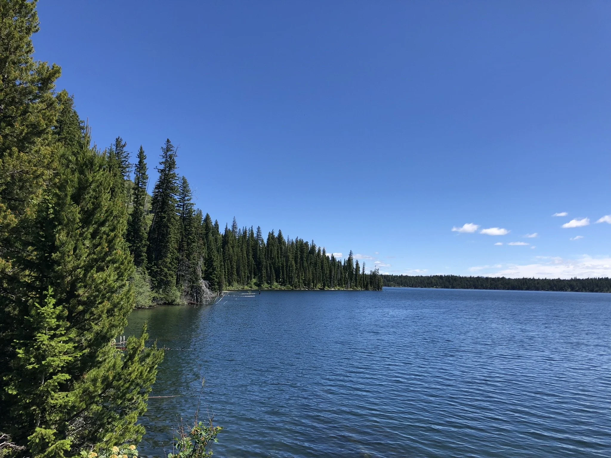 062418 WY Jenny Lake 4.jpg