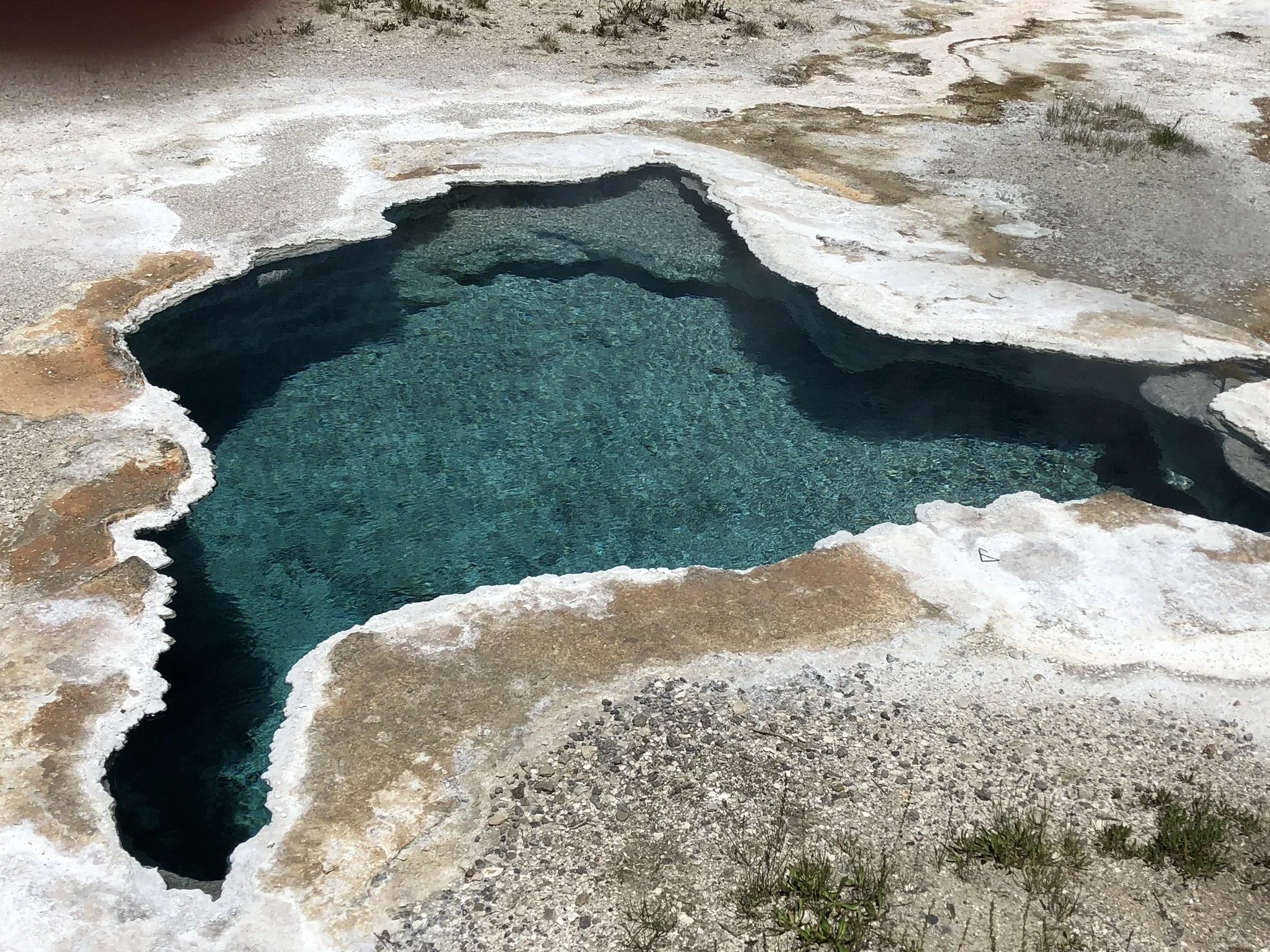 062618 WY Yellowstone Geysers 5.jpg