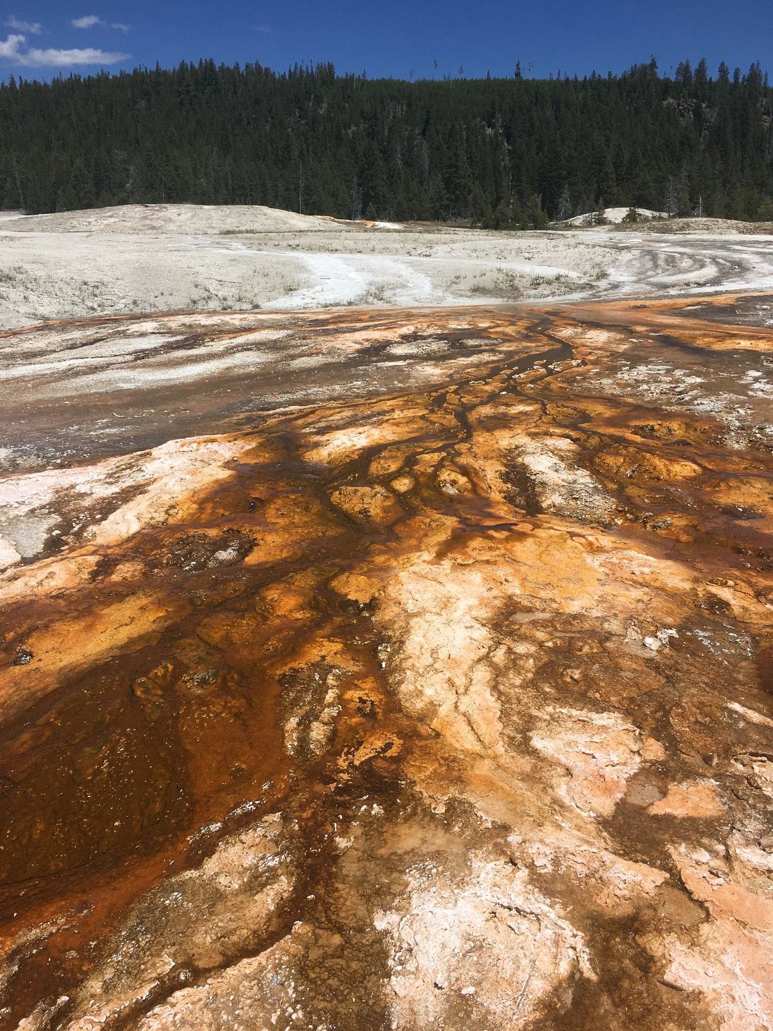 062618 WY Yellowstone Geysers 6.jpg