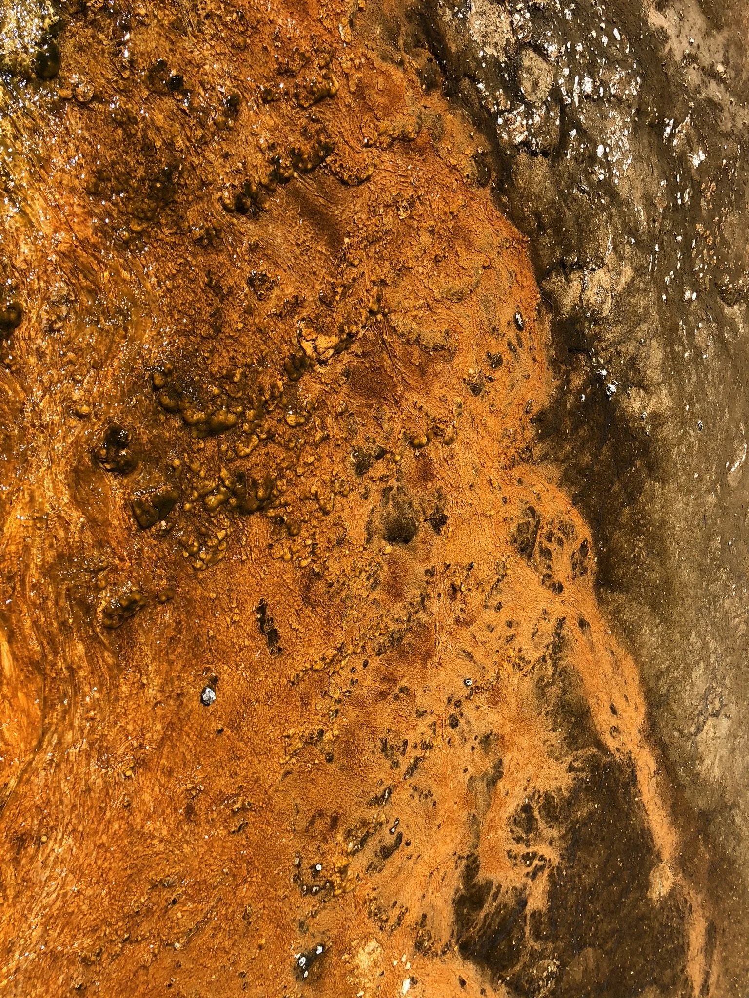 062618 WY Yellowstone Geysers 10.jpg