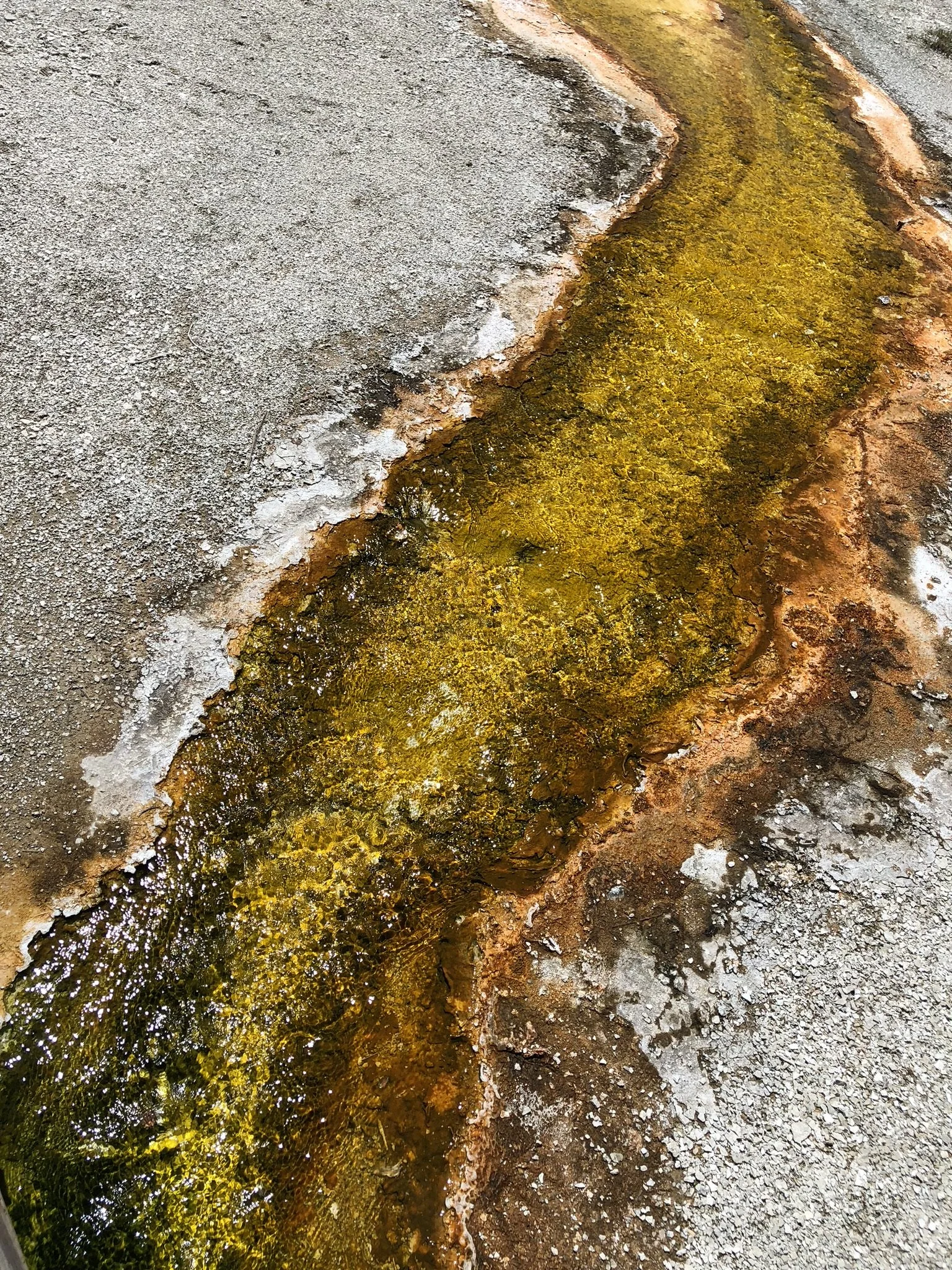 062618 WY Yellowstone Geysers 11.jpg