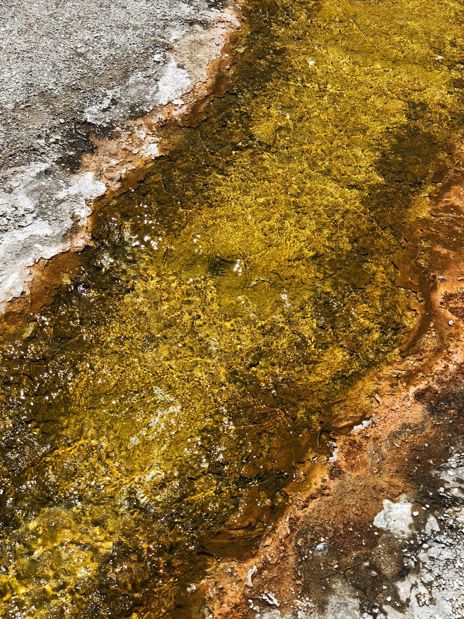 062618 WY Yellowstone Geysers 12.jpg