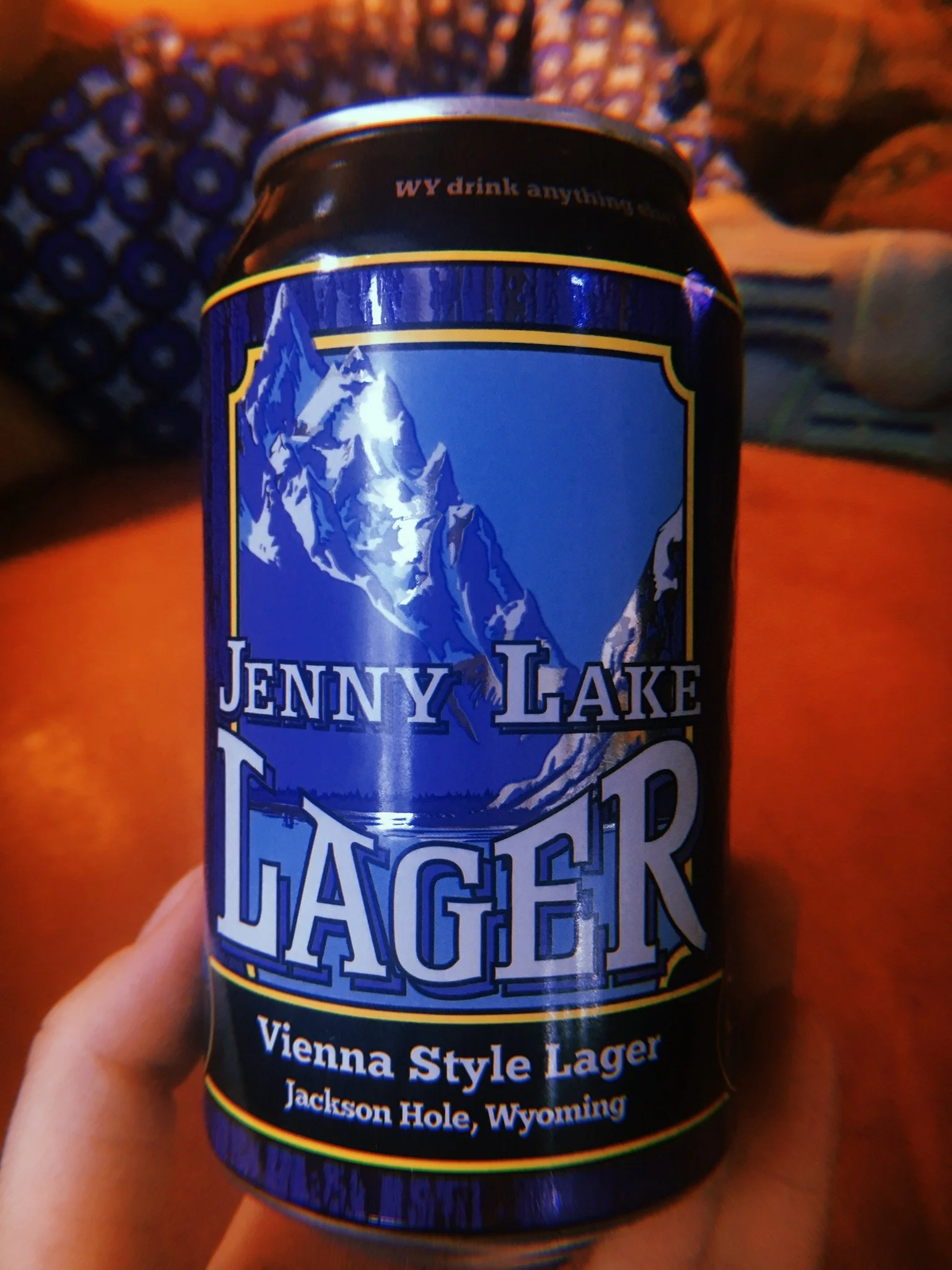 062718 WY Jenny Lake Lager.jpg