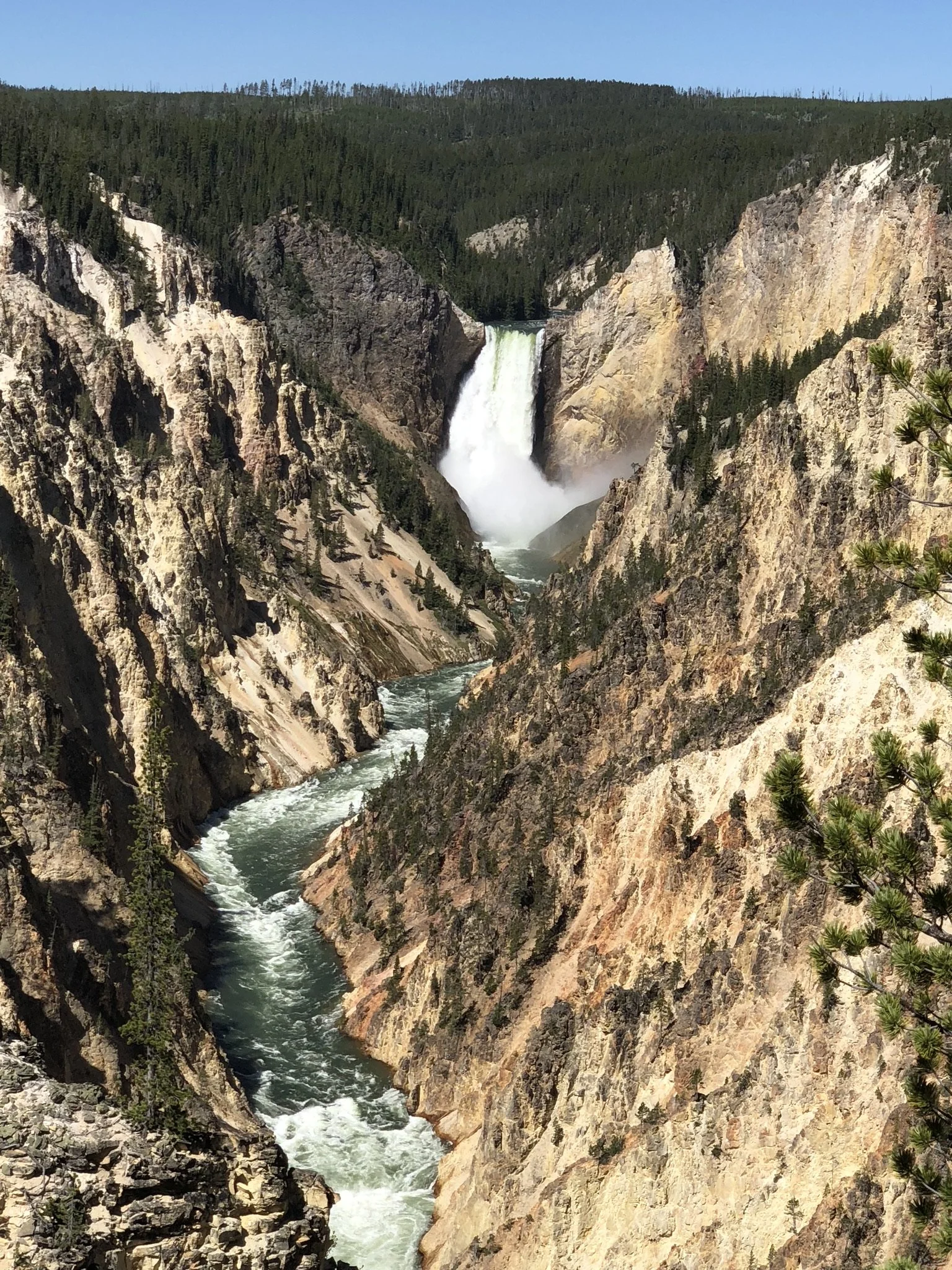 062718 WY Yellowstone Inspiration Point 2.jpg