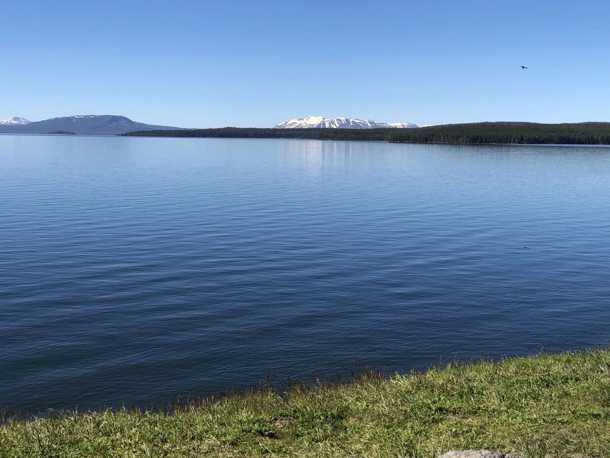 062718 WY Yellowstone Lake.jpg