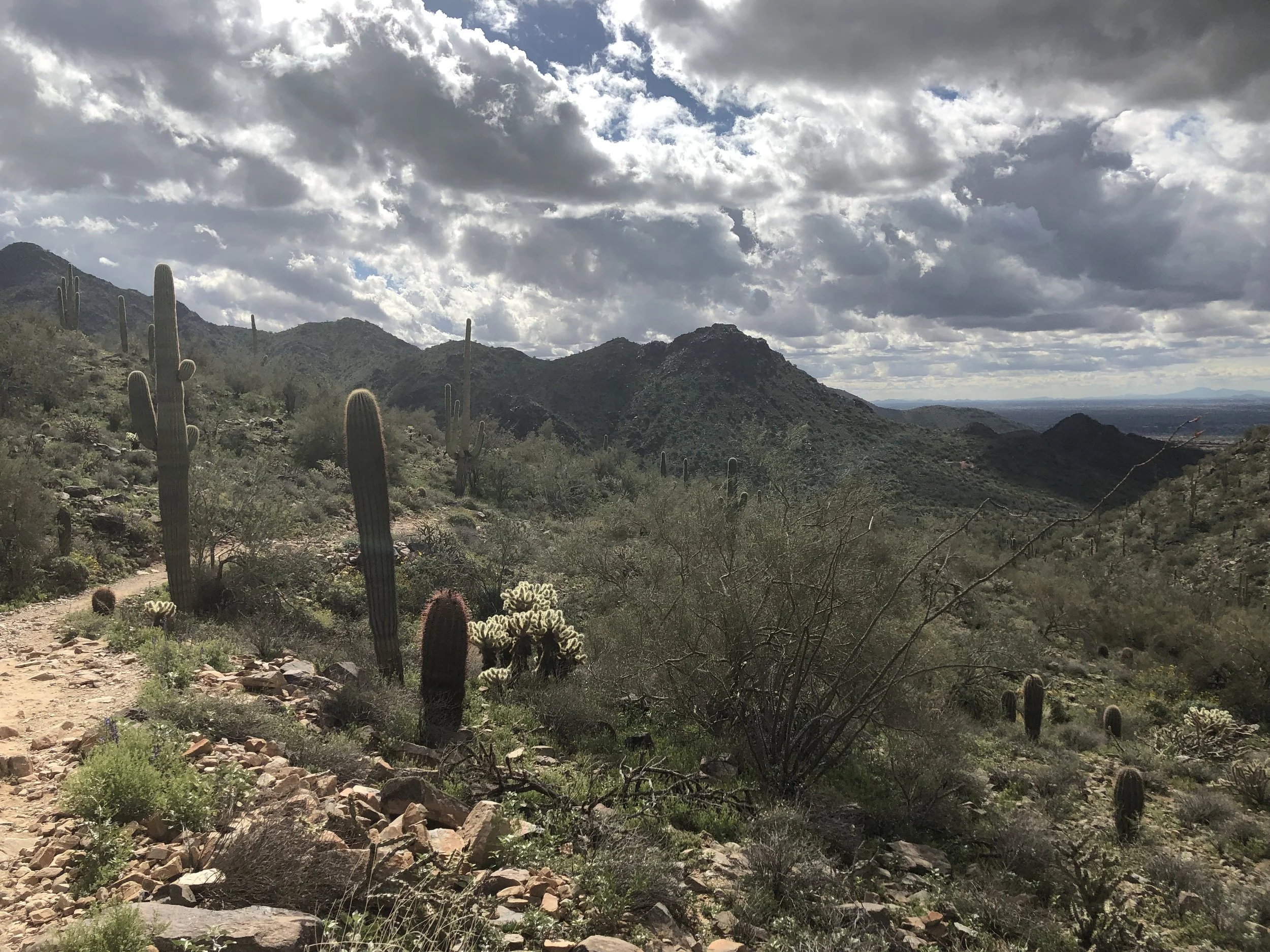 0219 AZ Mountains.jpg