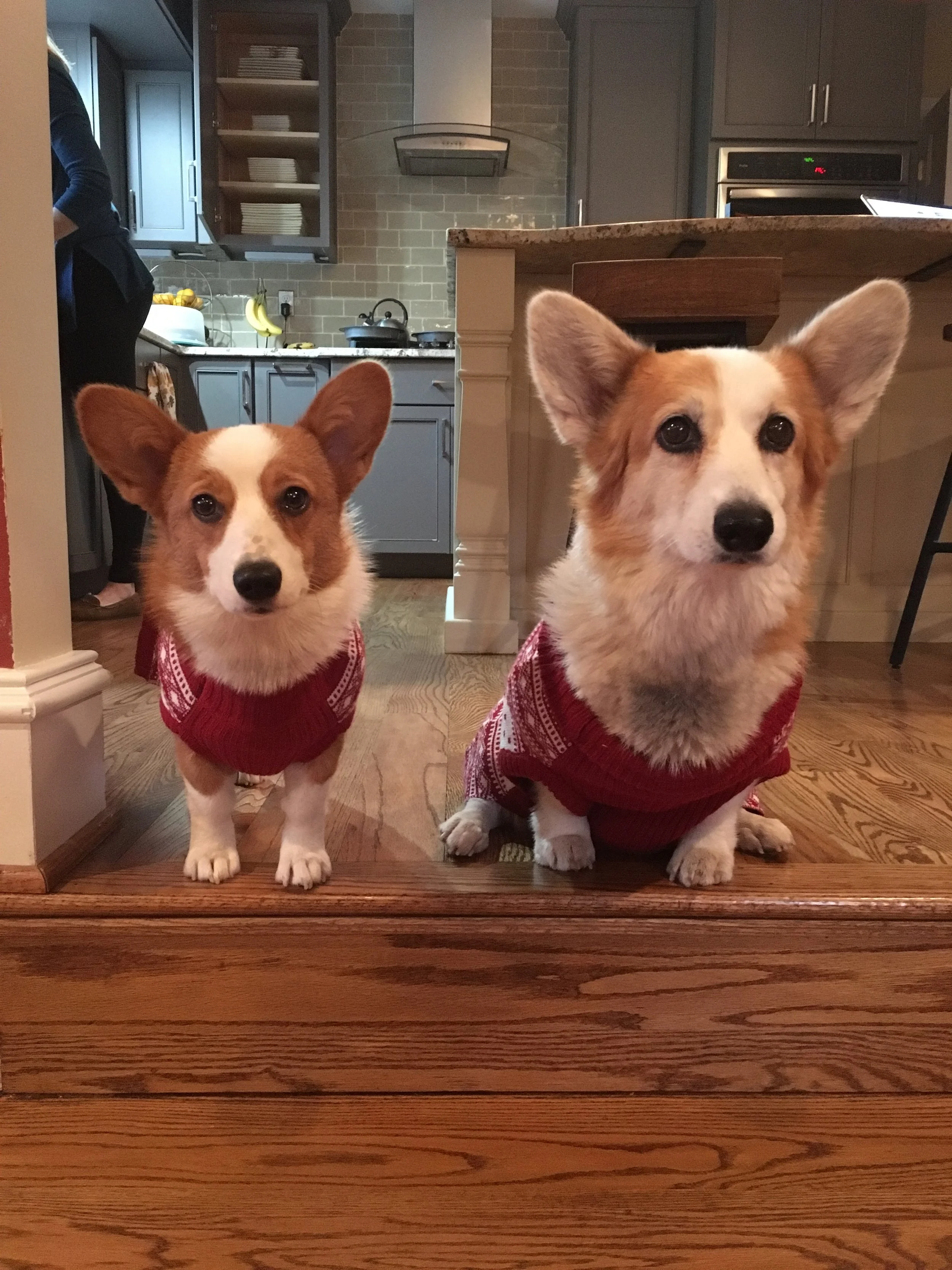 0619 Lizzie Lucie 3.jpg