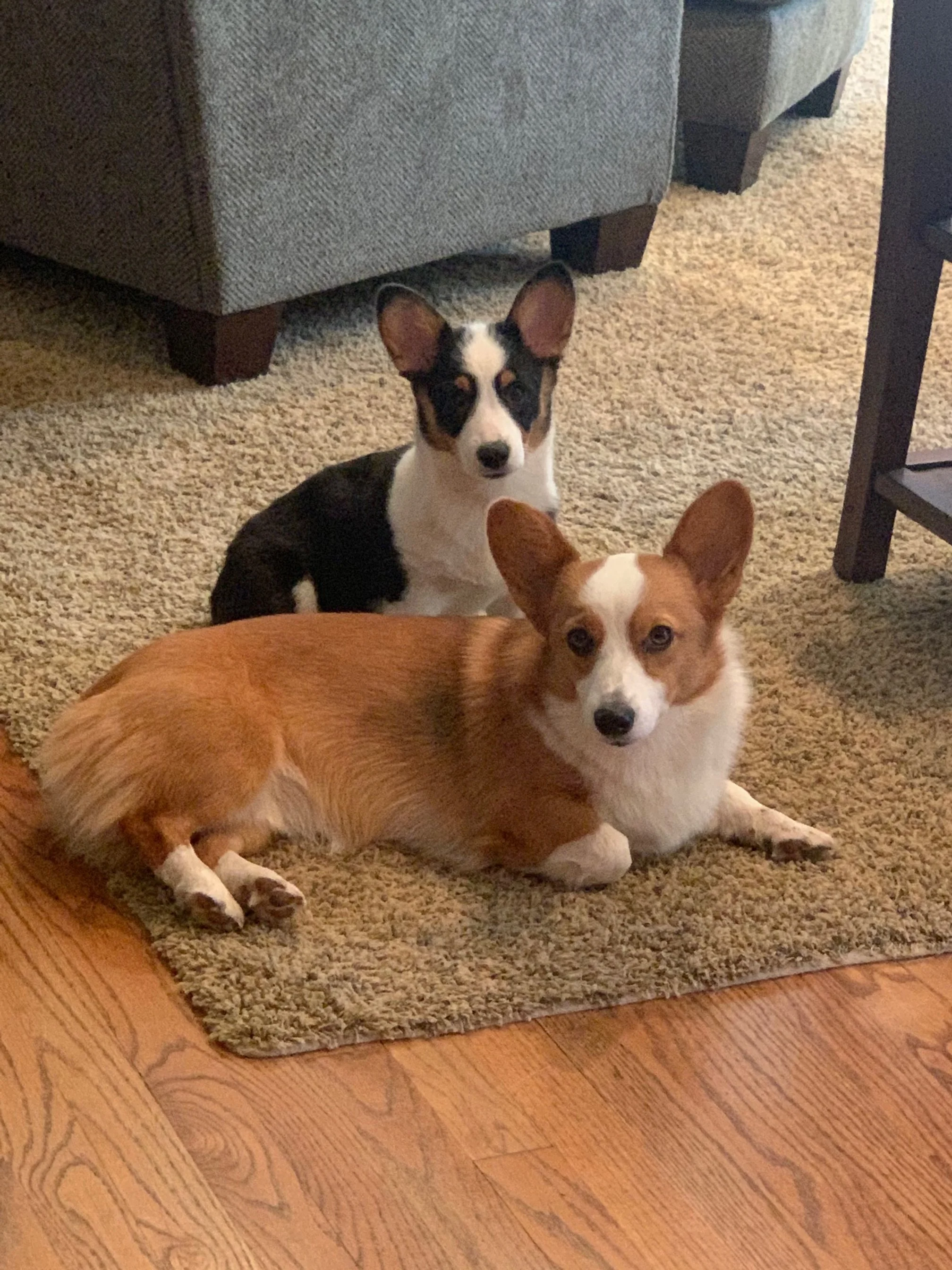 1019 Lucie Hattie 2.jpg