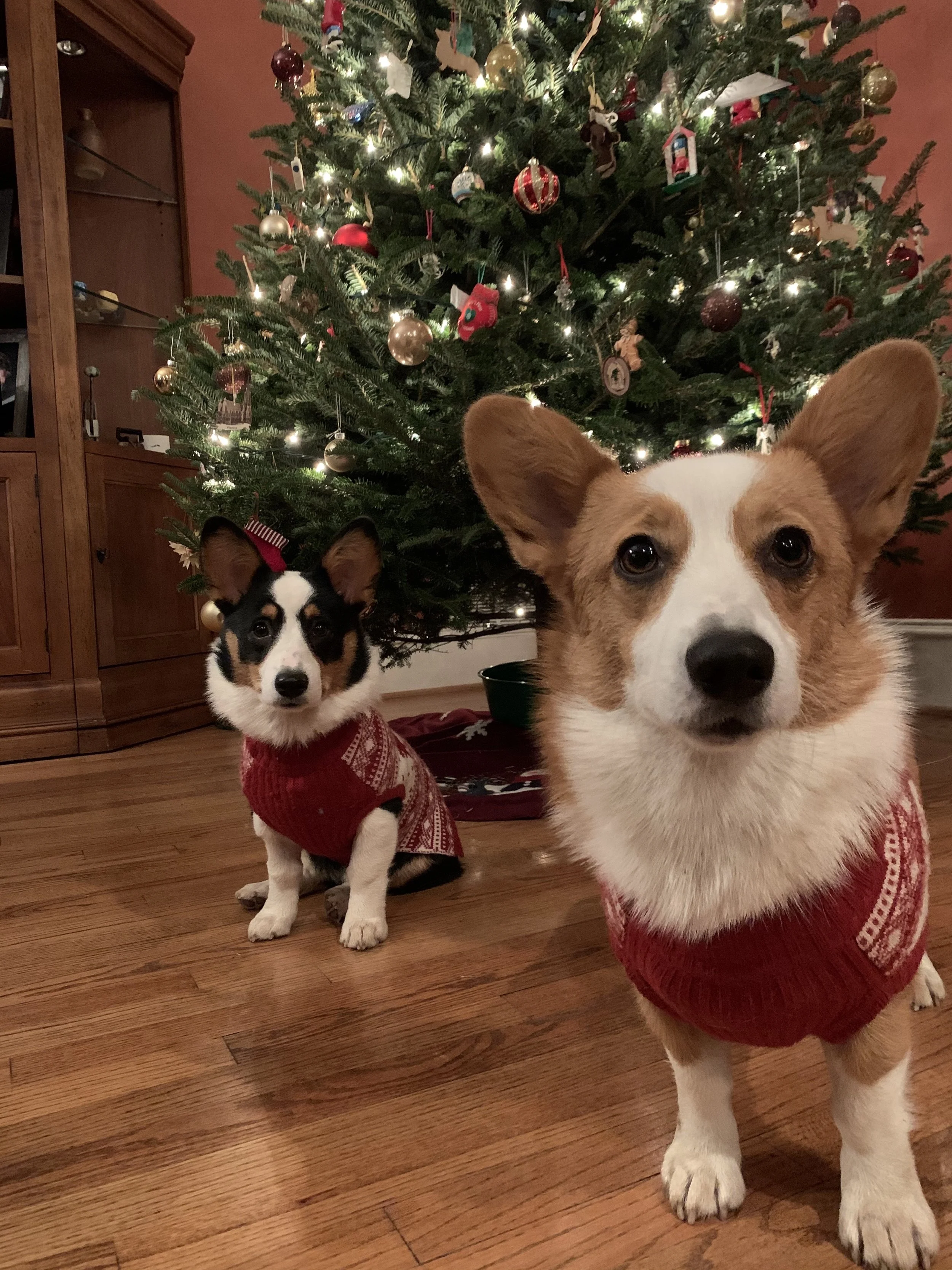 1219 Lucie Hattie.jpg