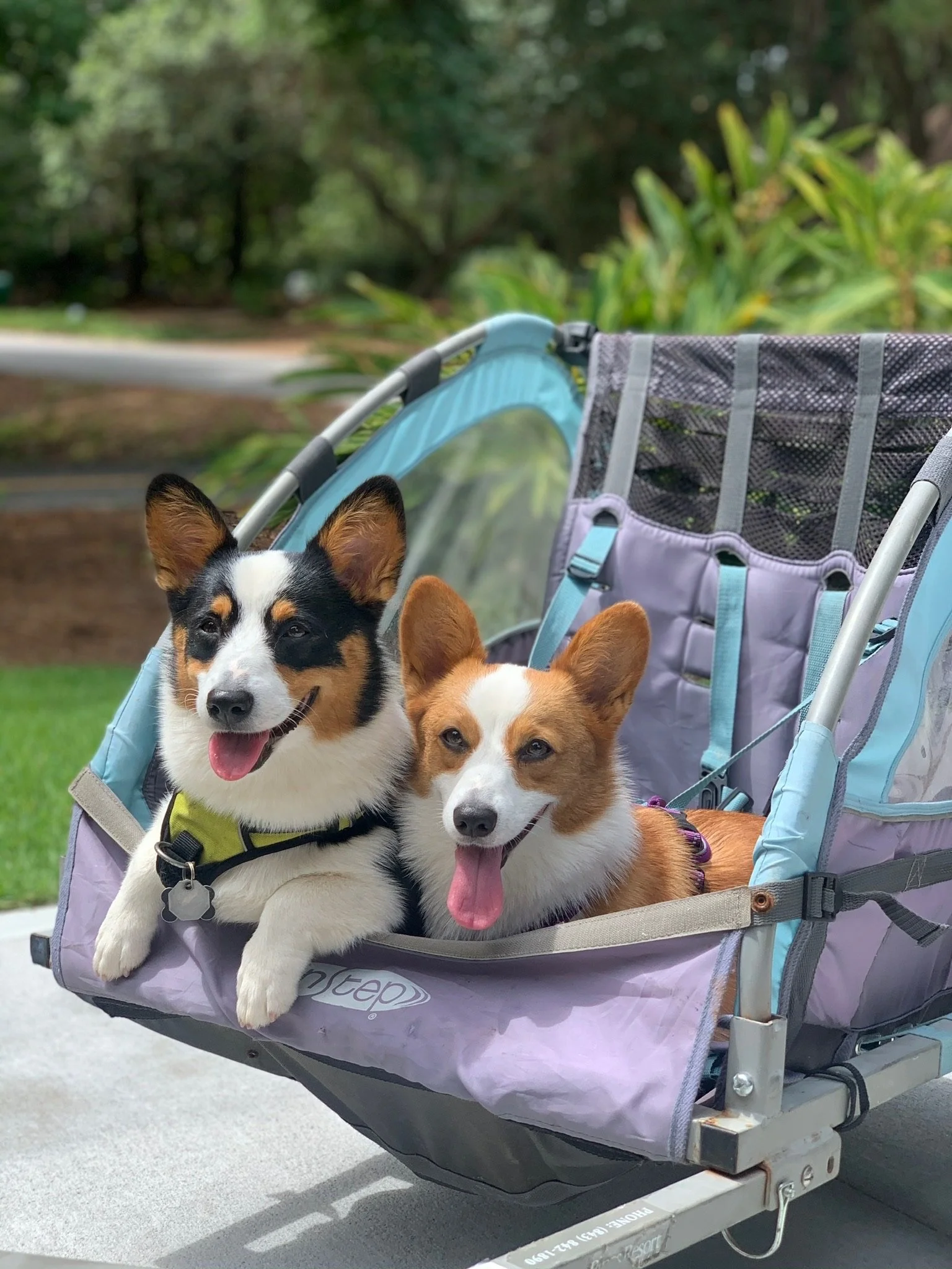 0720 Hattie Lucie.jpg