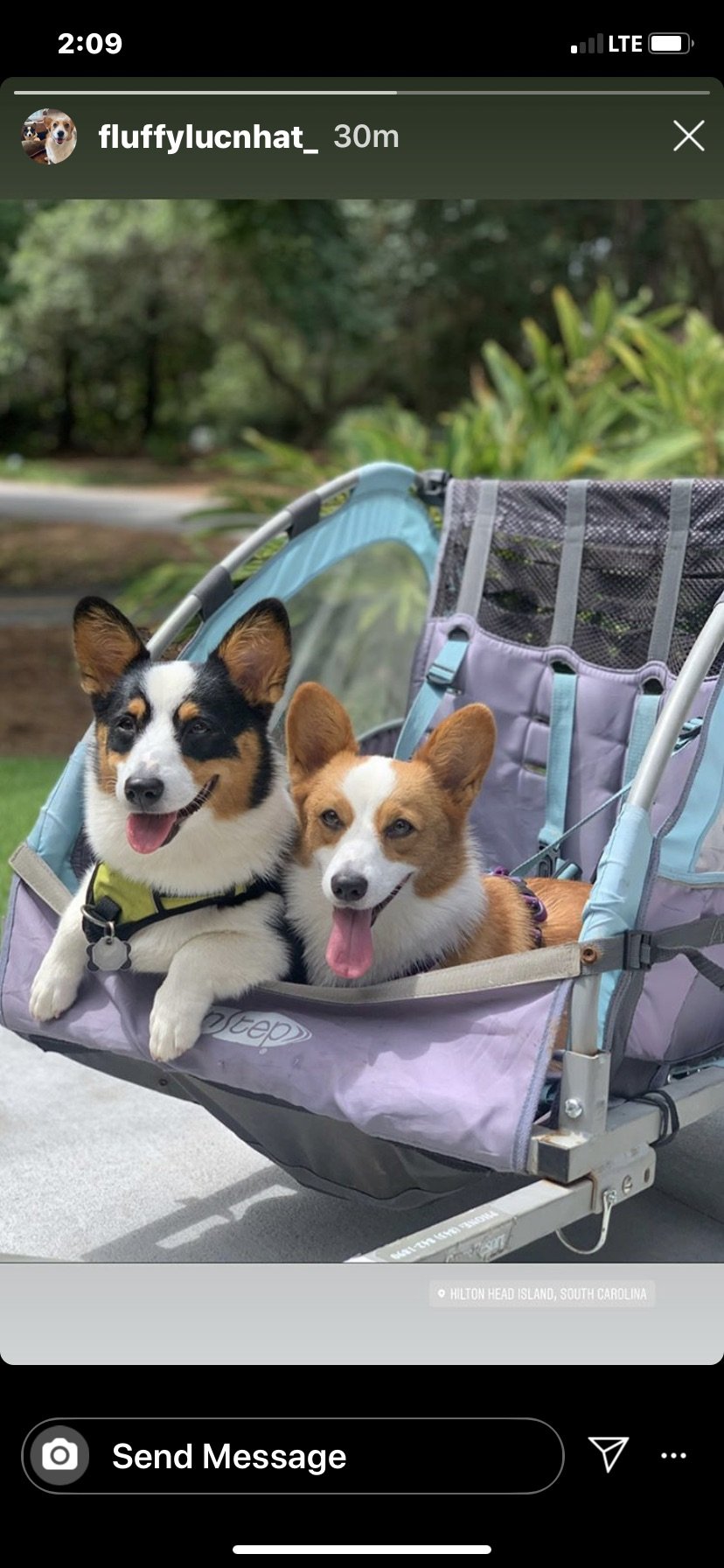 0820 Lucie Hattie.jpg