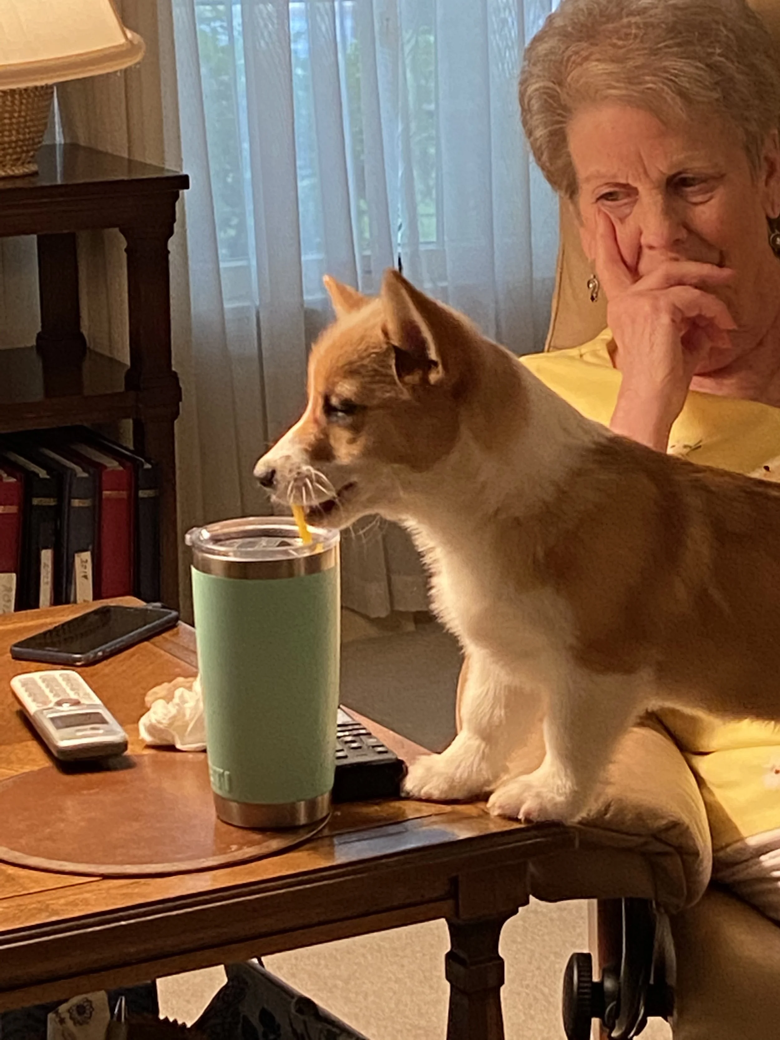 0621 Nana Winnie 3.jpg