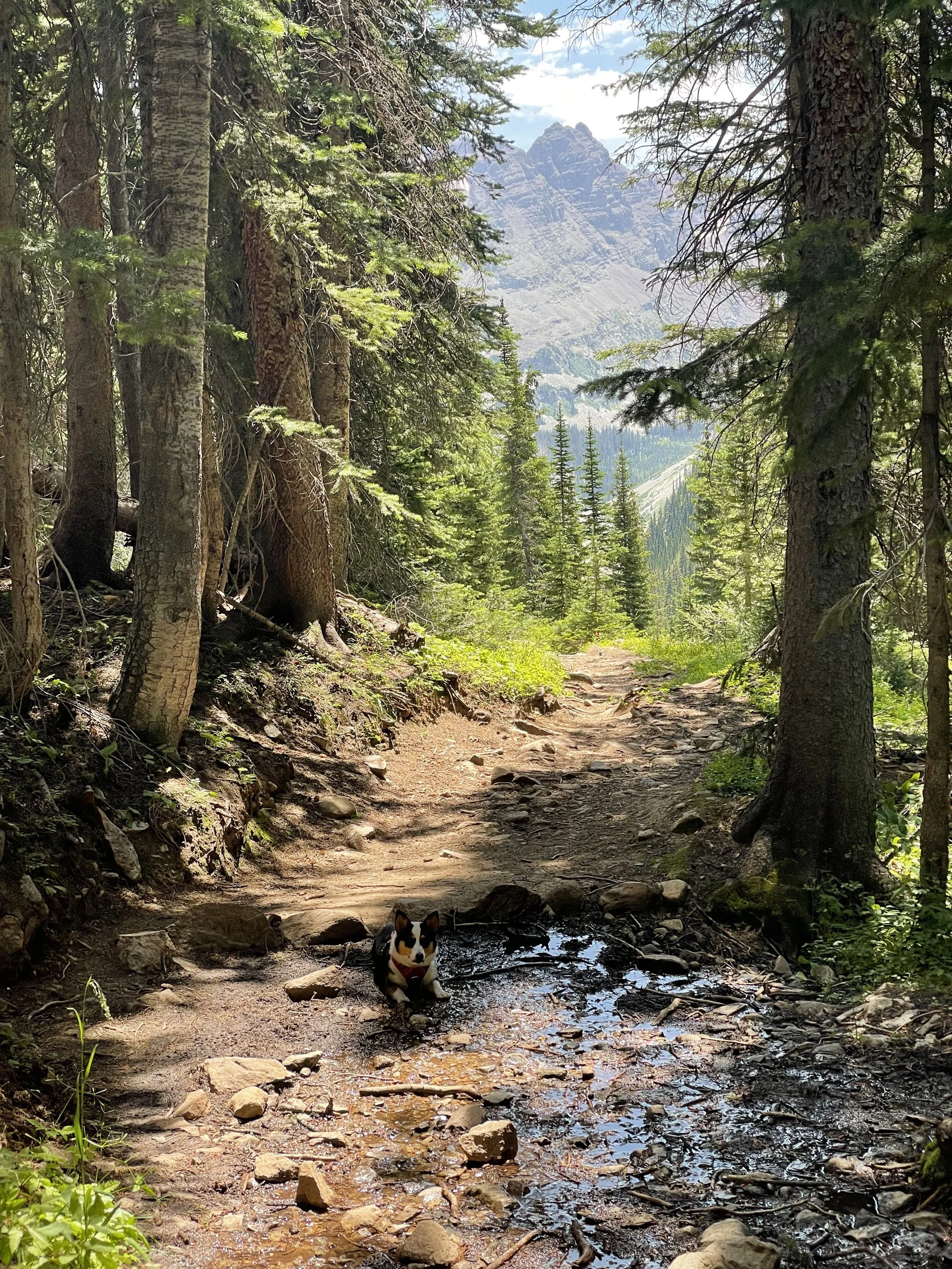 0824 Ava Bobbie Trail.jpg