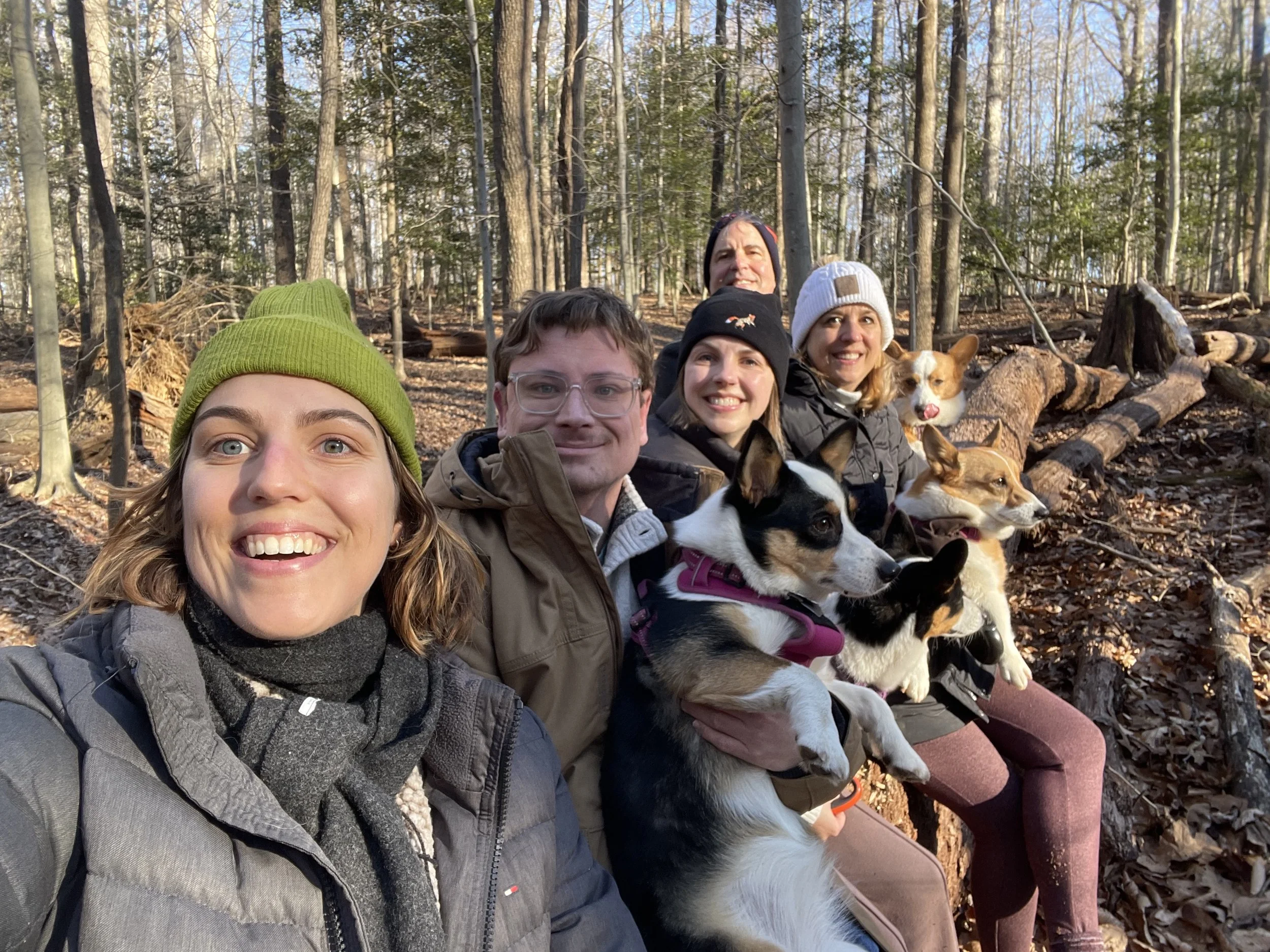 1224 Christmas Family Dogs.jpg