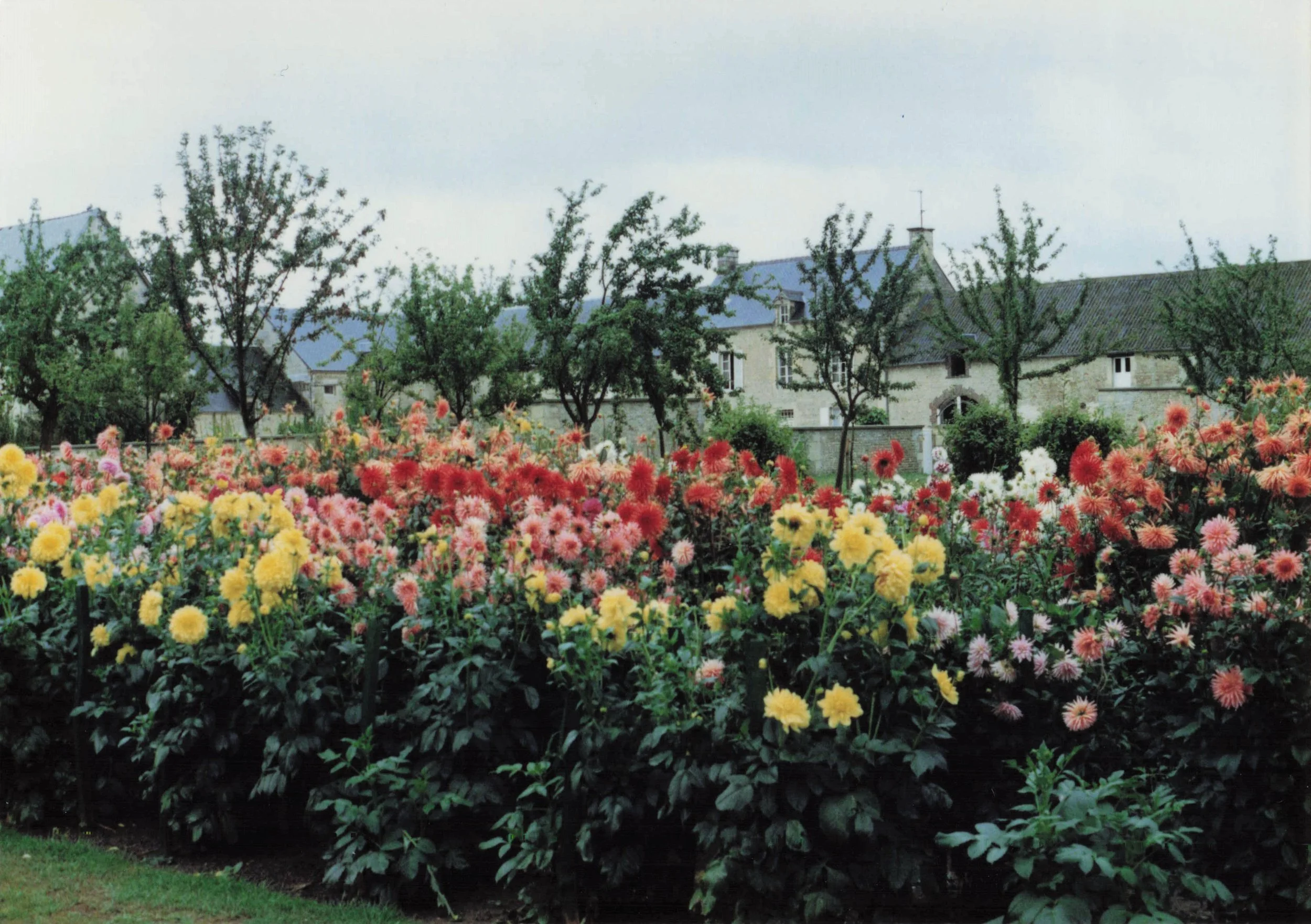 1989 Honeymoon_0062.jpg