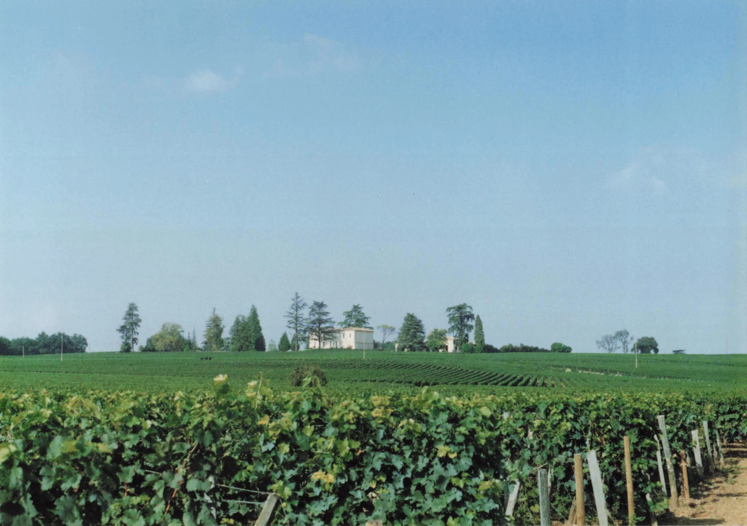 1989 Honeymoon_0097.jpg