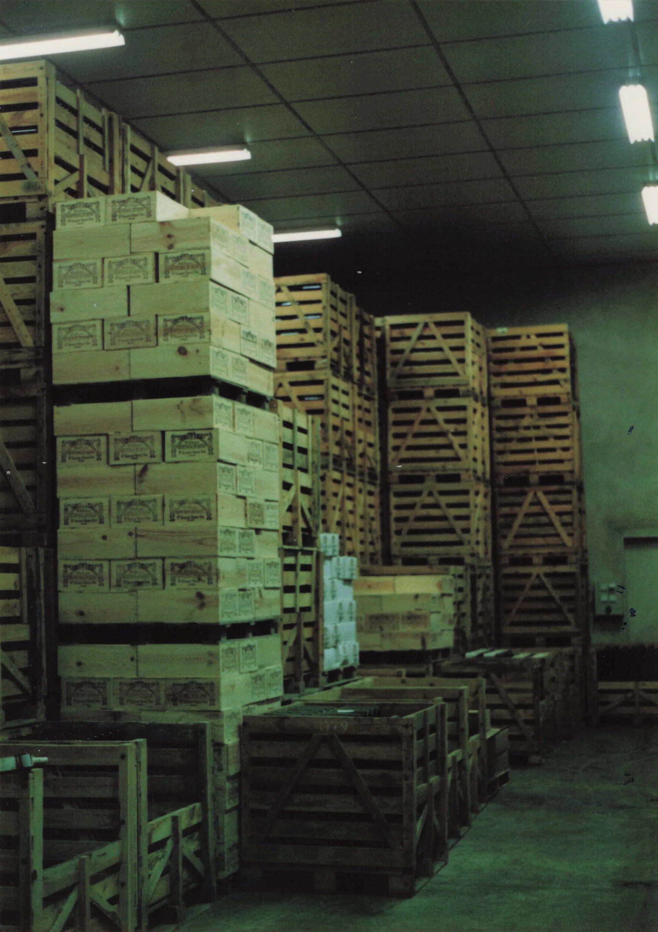 1989 Honeymoon_0098.jpg