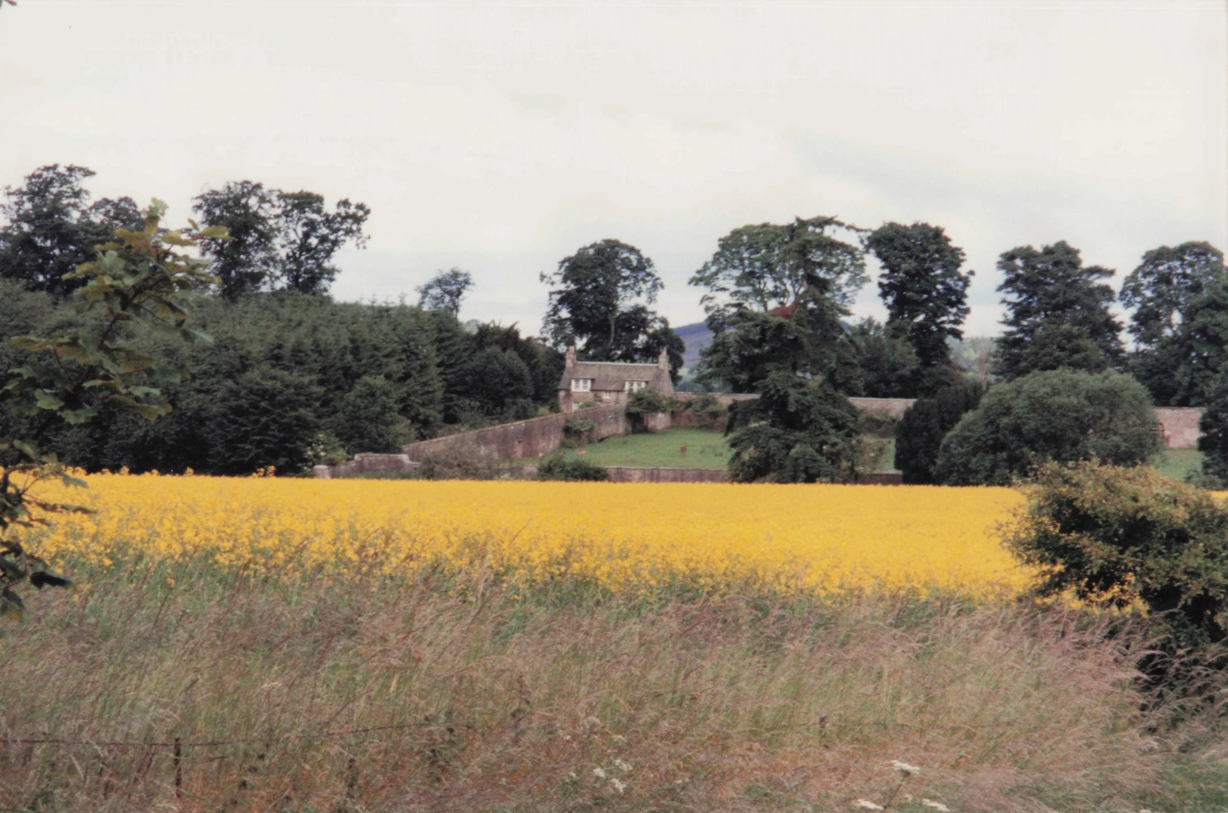 1993 Scotland_0009.jpg