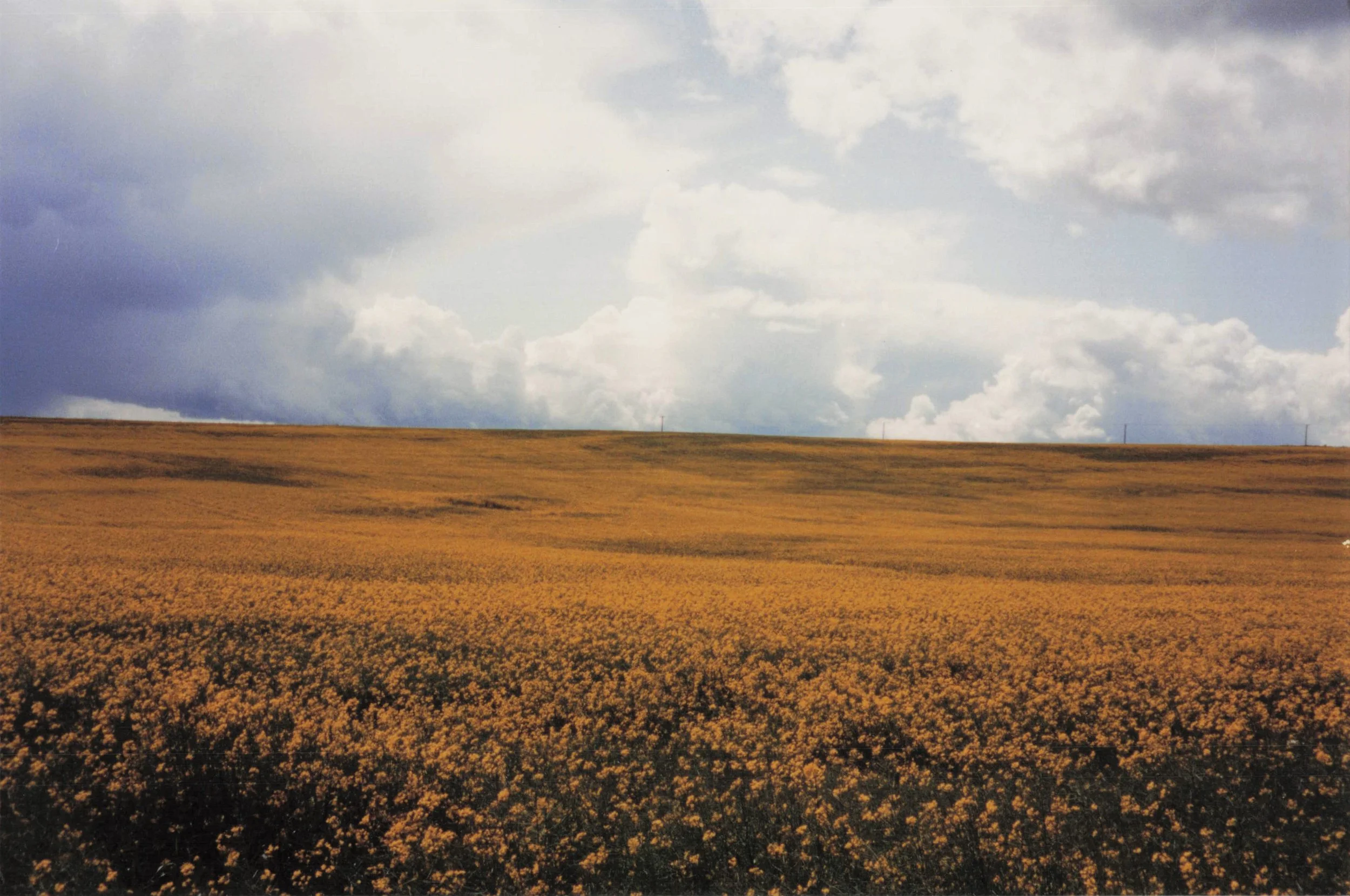 1993 Scotland_0018.jpg