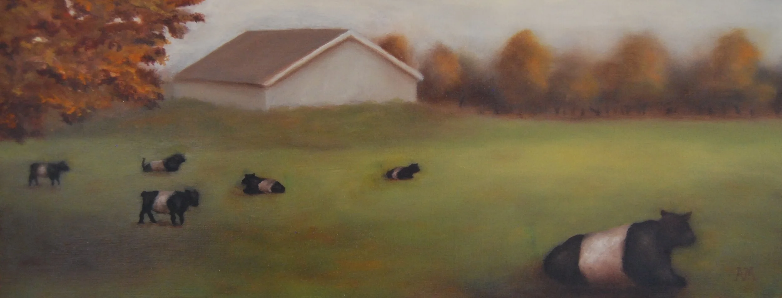 Some Kind of Cows