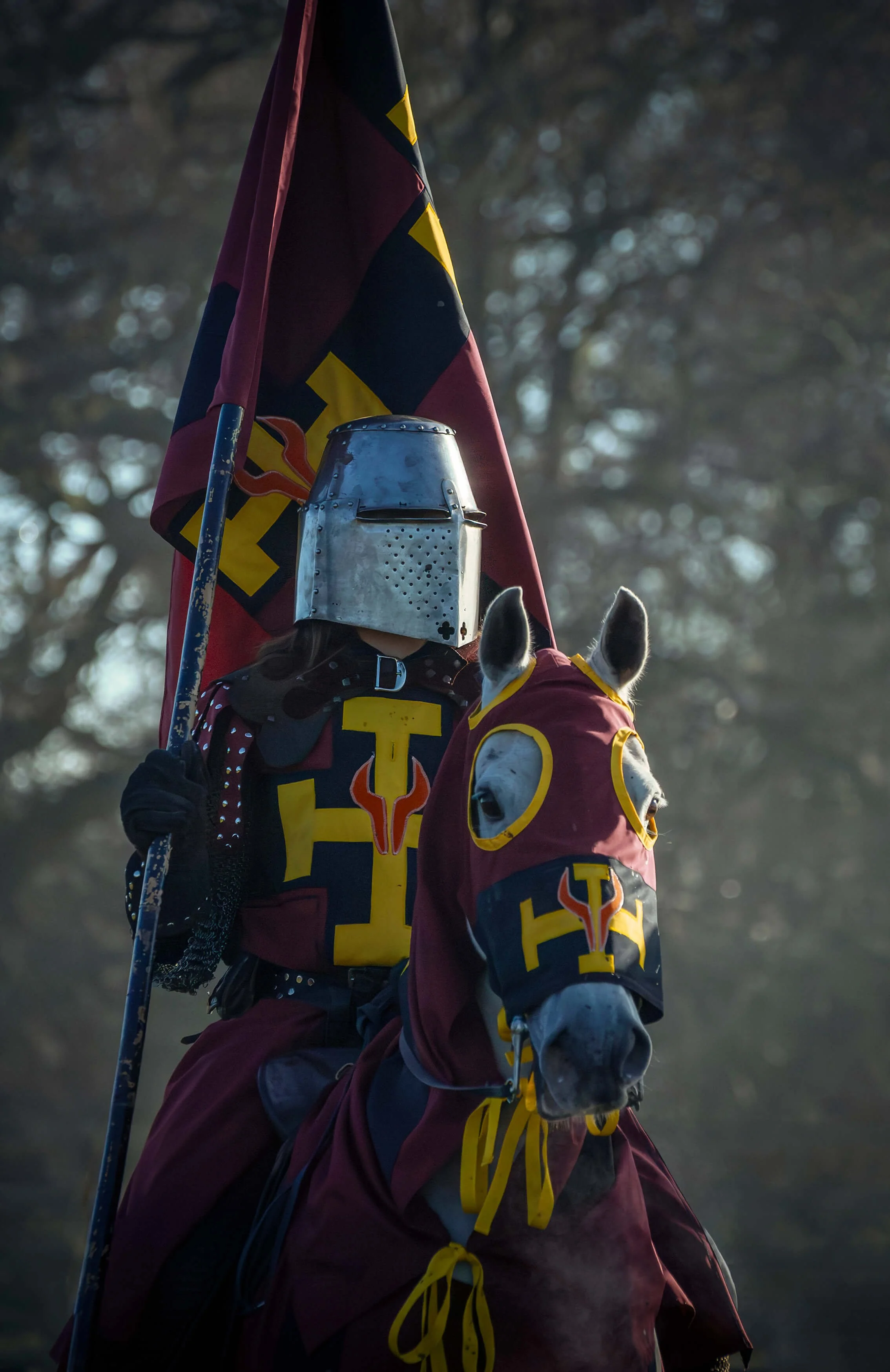 medieval knight on horseback