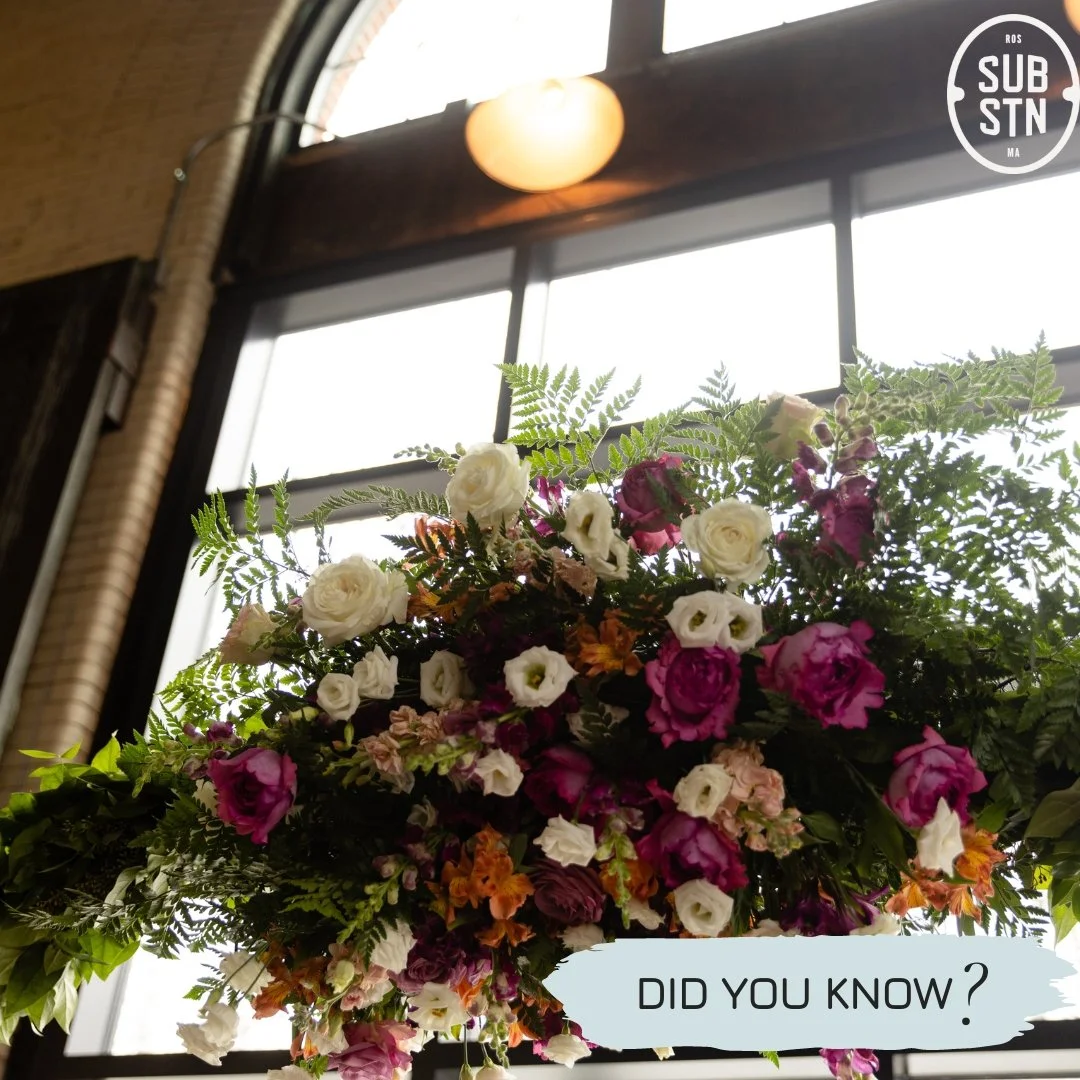 Did you know that we have a list of preferred vendors who have serviced events in our space and who we trust to take care of our clients and our building? We intentionally build partnerships with local businesses, especially women, BIPOC, and LGBTQ-o