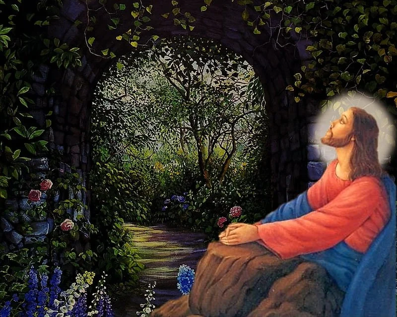 Mark 1: 29-39 - Looking for Jesus — Holy Land In Depth