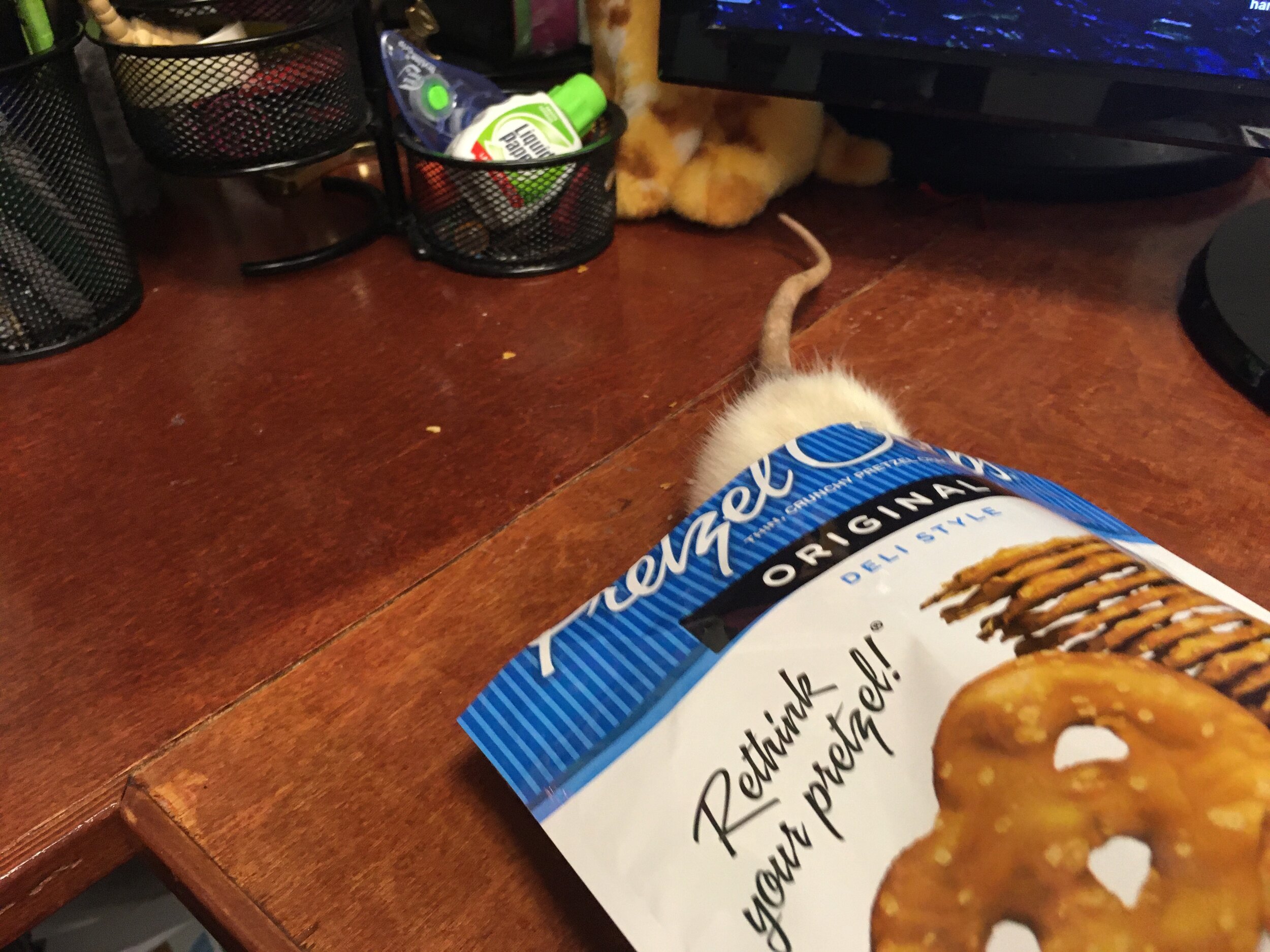 You didn't want these pretzels anymore, right?