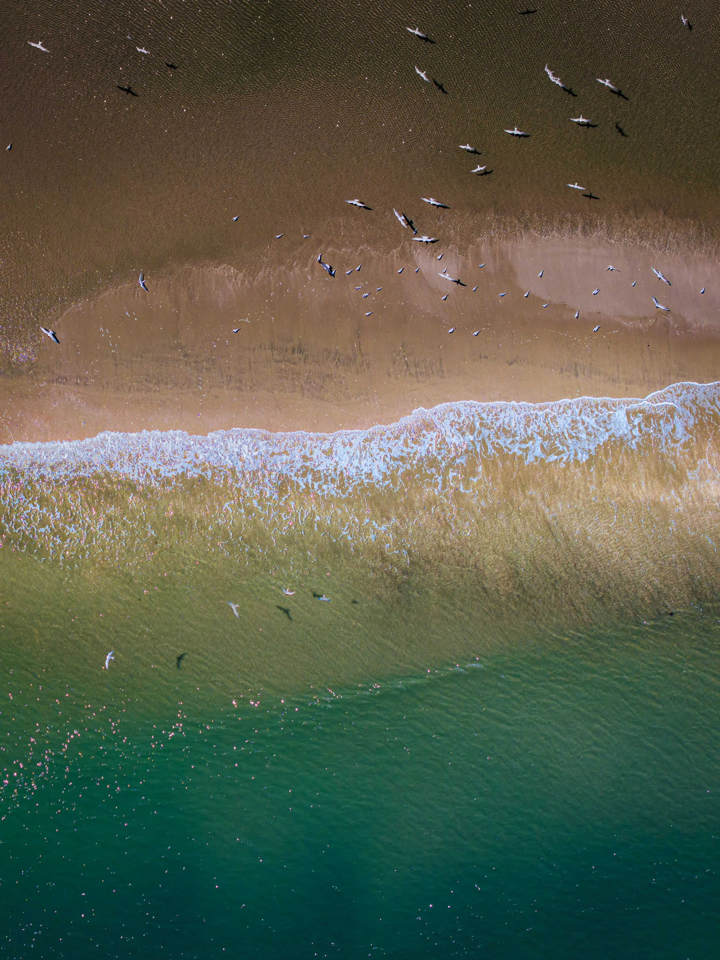 DJI_20260505151731_0060_D-Edit.jpg